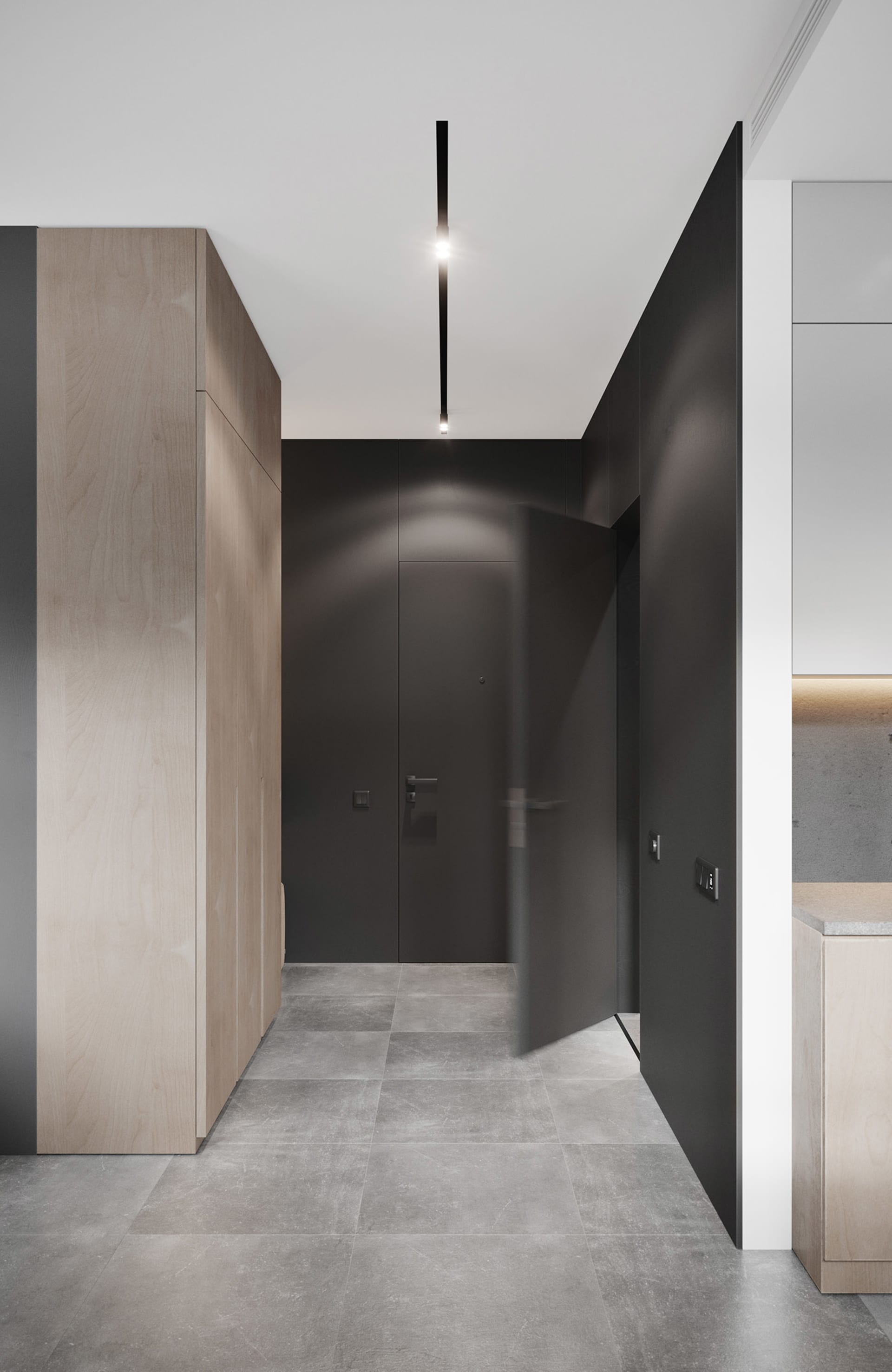Entryway featuring minimalist design with wooden cabinets, concrete flooring, and black walls.