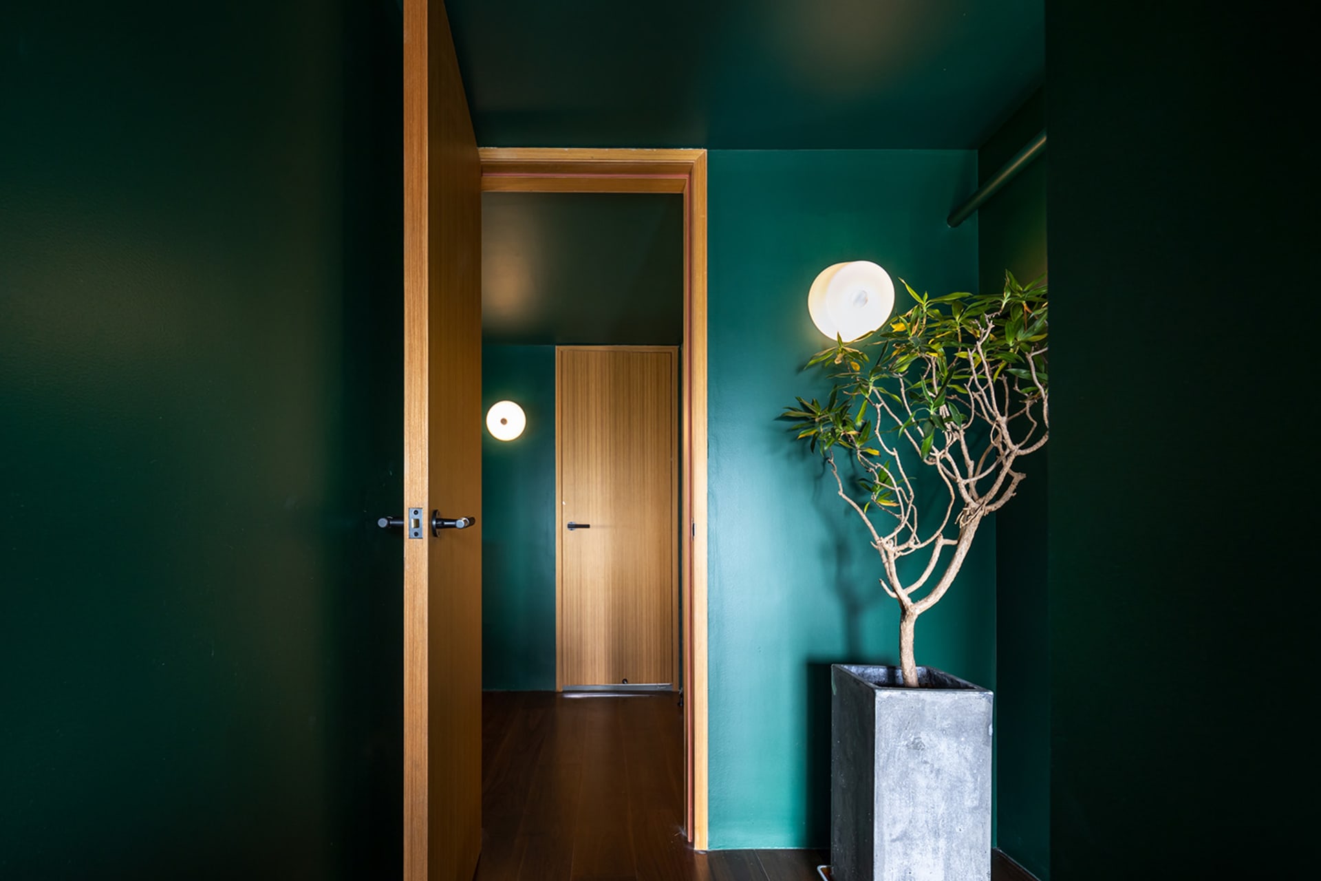A minimalist interior space featuring concrete walls and a potted plant in a concrete planter.