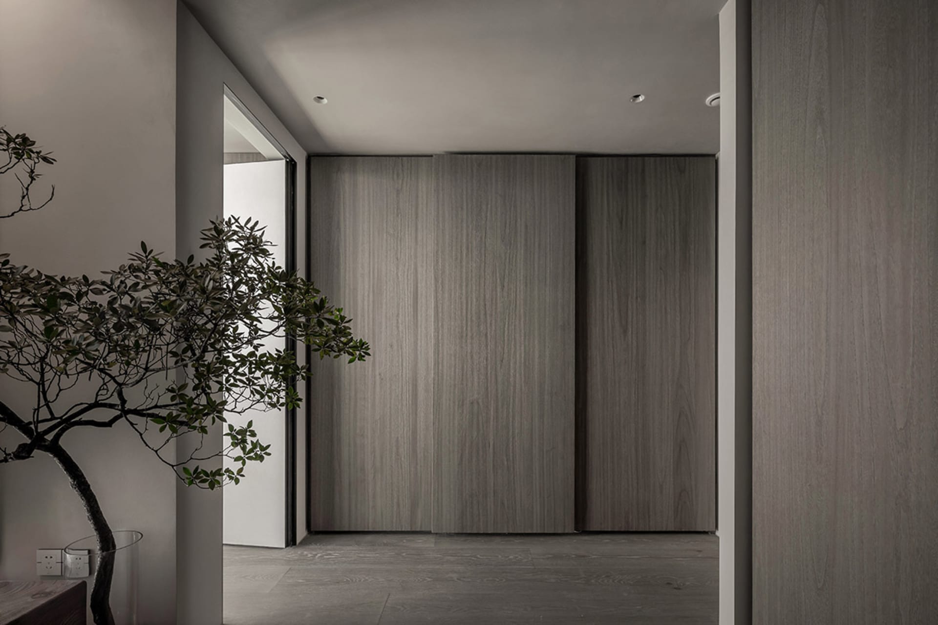 Modern minimalist closet with wooden sliding doors.