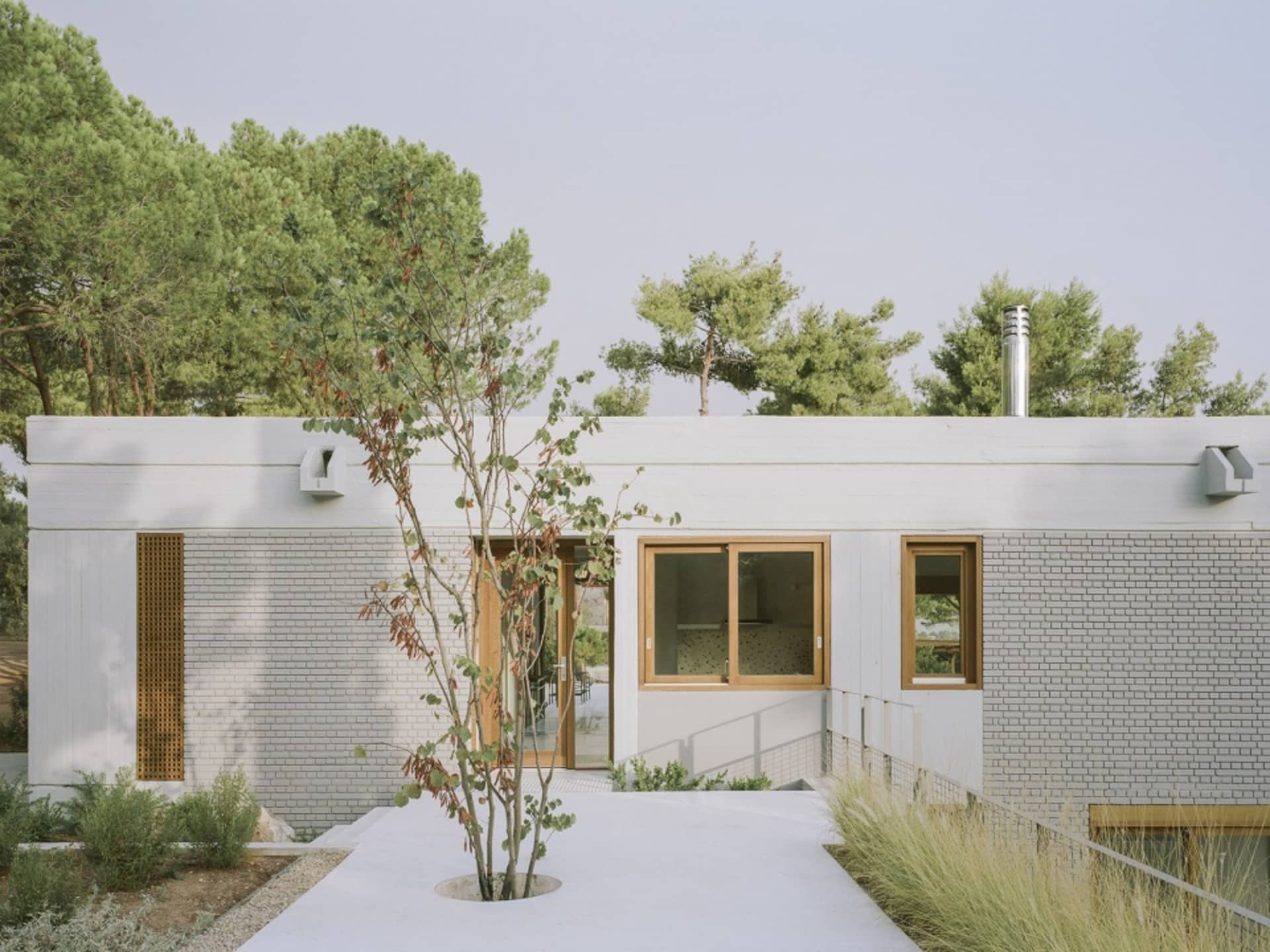 A modern house with white brick walls and large windows surrounded by greenery.