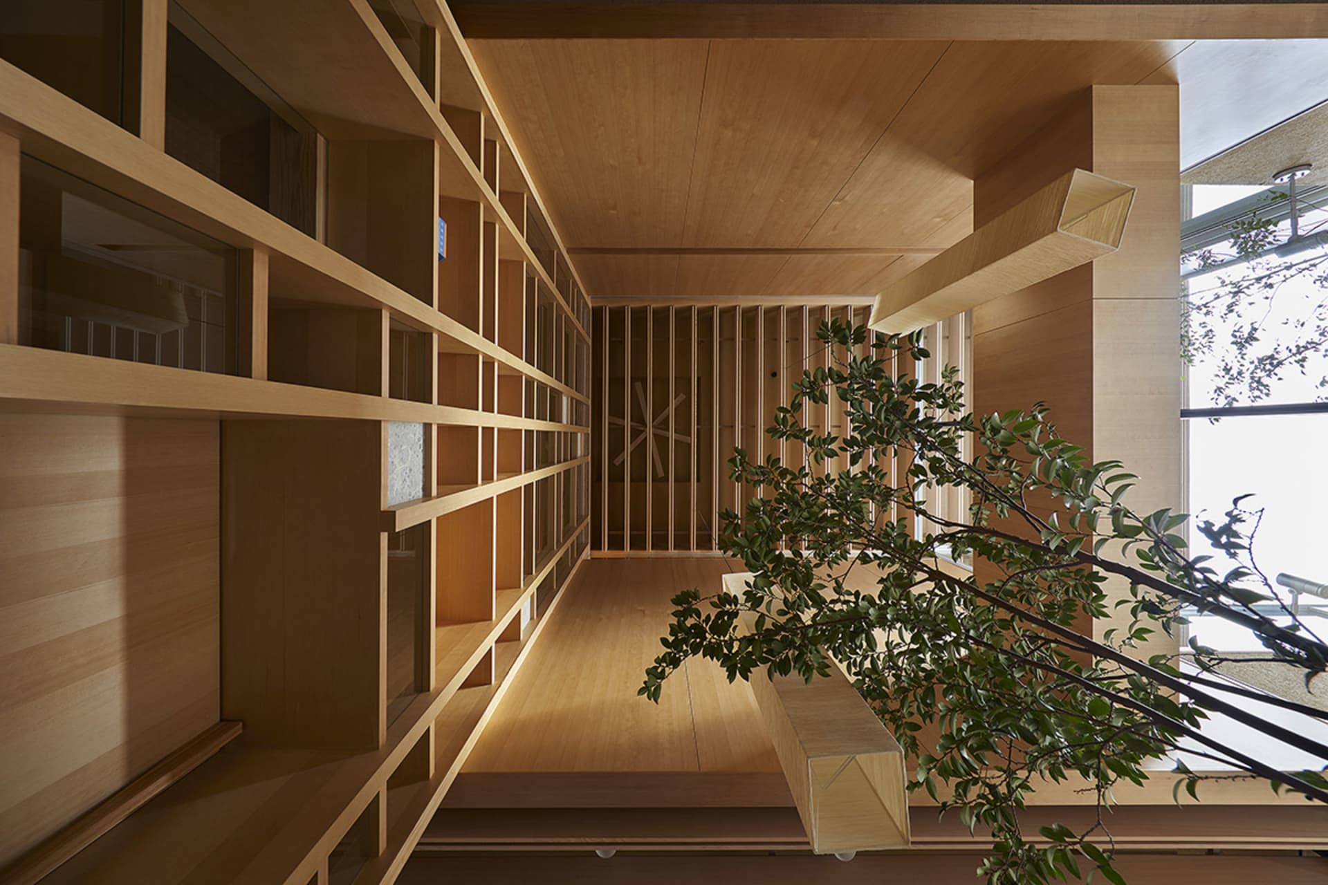 Modern living room with wooden walls and floor, featuring a combination of glass and wood panels.