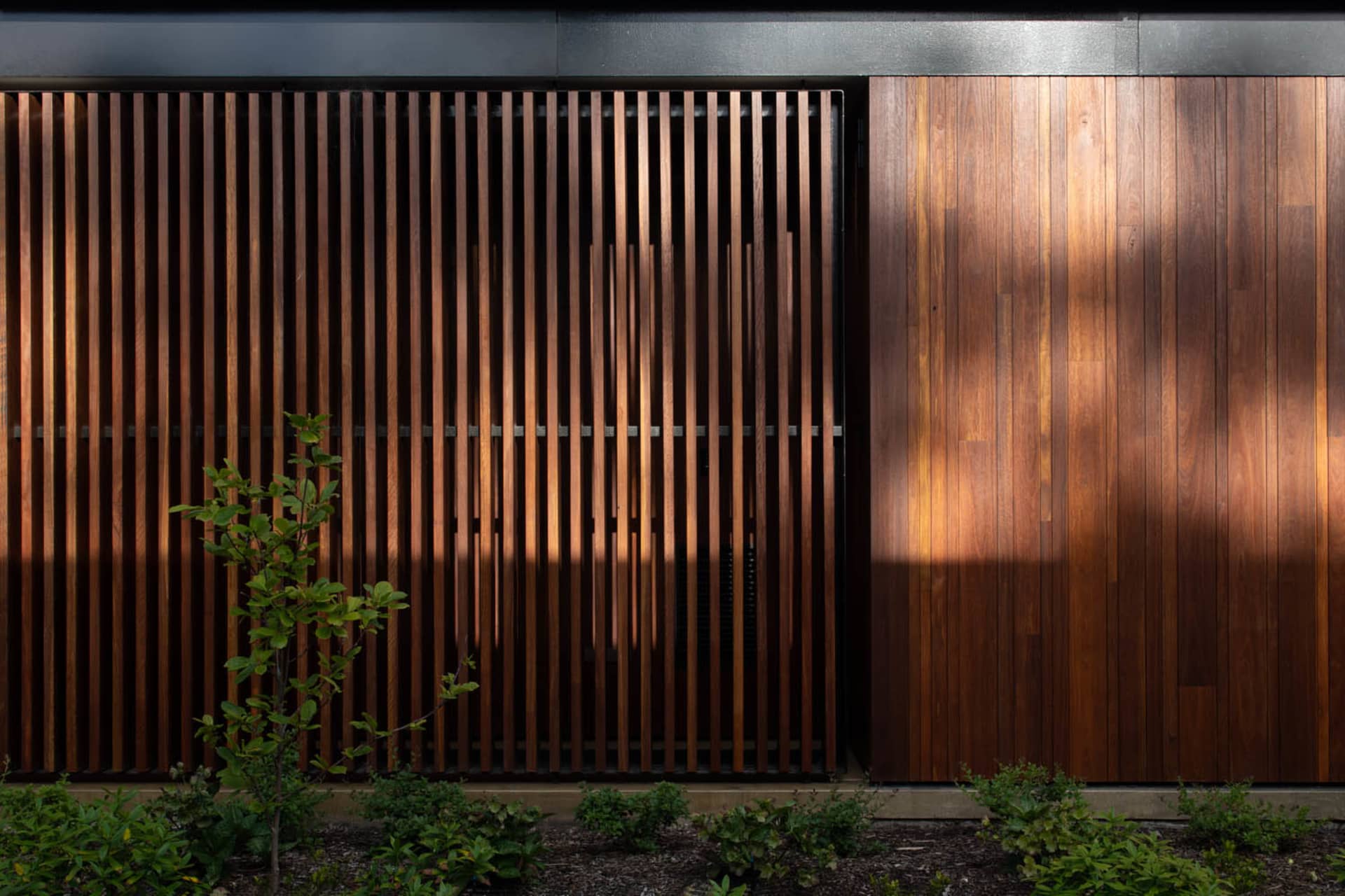 A modern minimalist wooden wall with vertical slats and a small green plant in front of it.