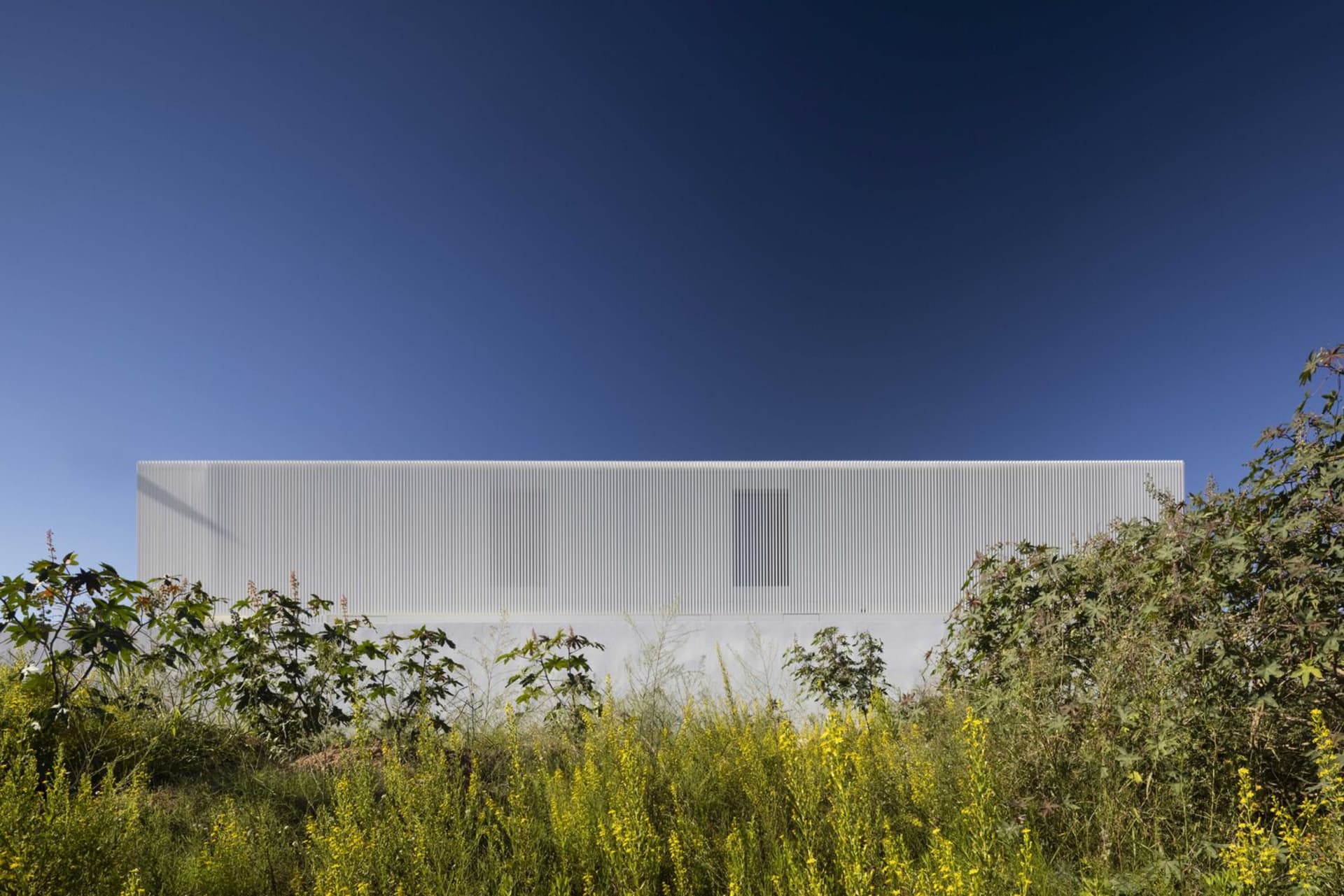 Modern building with a metal-clad exterior