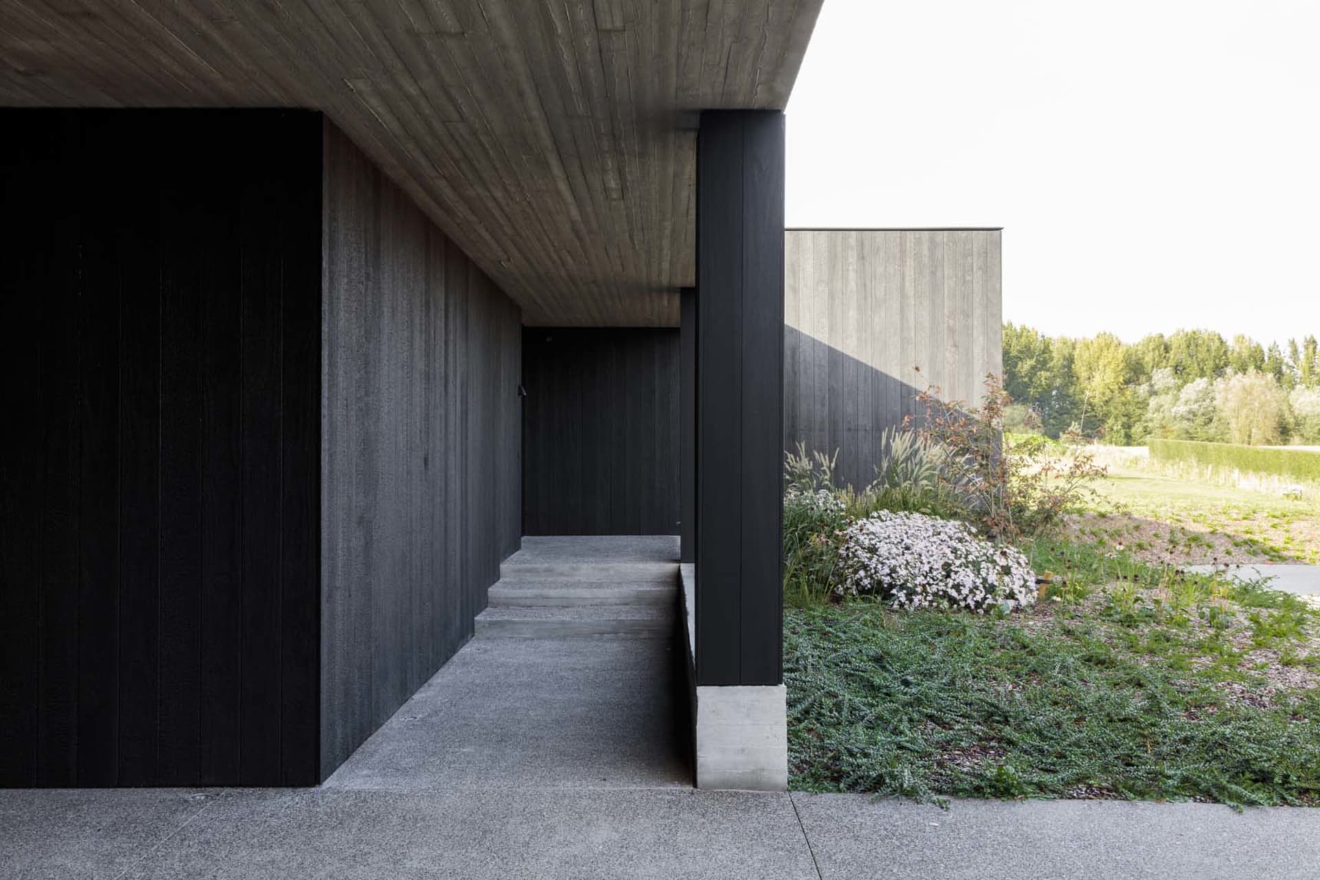 Modern residential exterior featuring concrete walls and wooden columns.