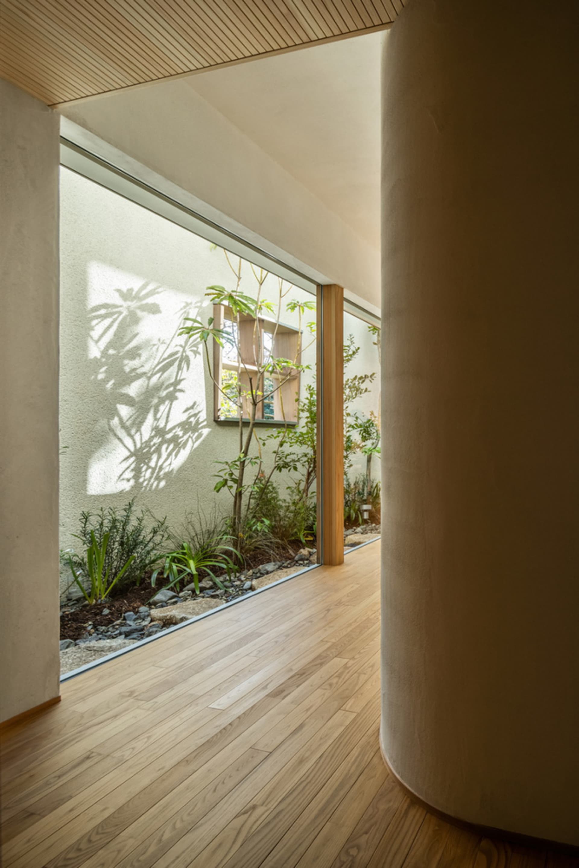 A minimalist entryway features a concrete and wooden floor with a small garden area next to it.