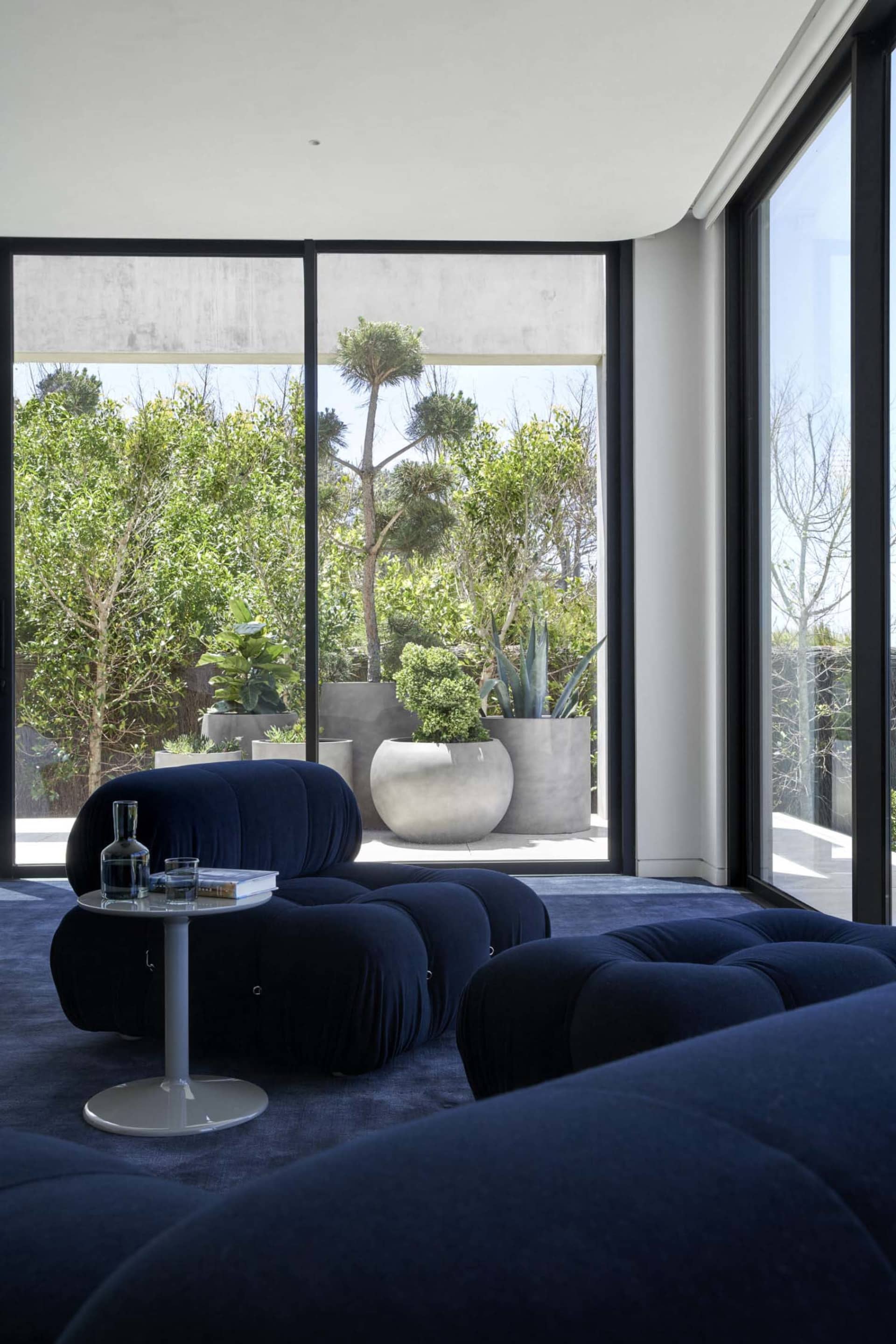 Modern living room featuring a blue sofa and potted plants outdoors