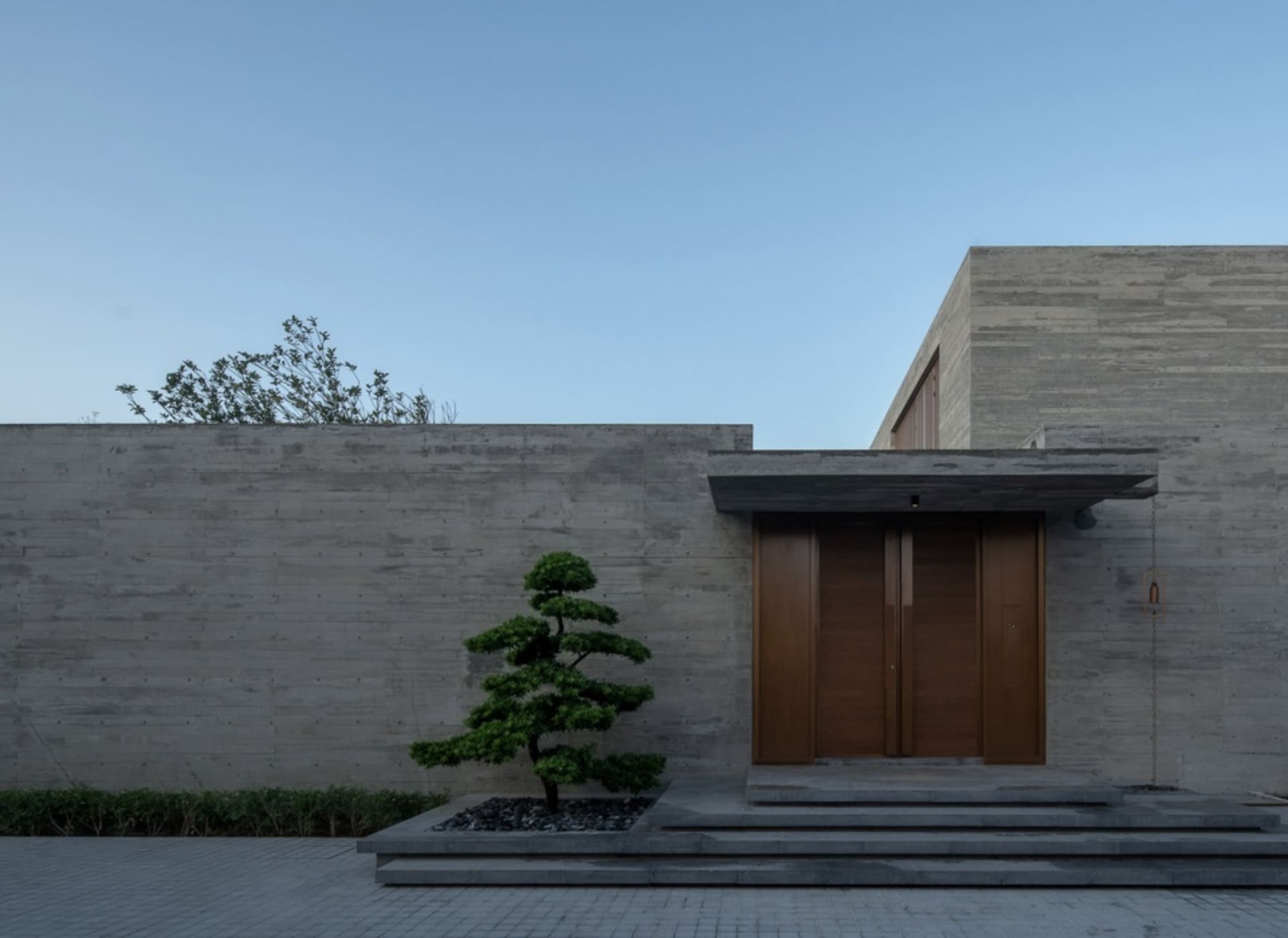 Concrete entrance with a bonsai tree and wooden doors.