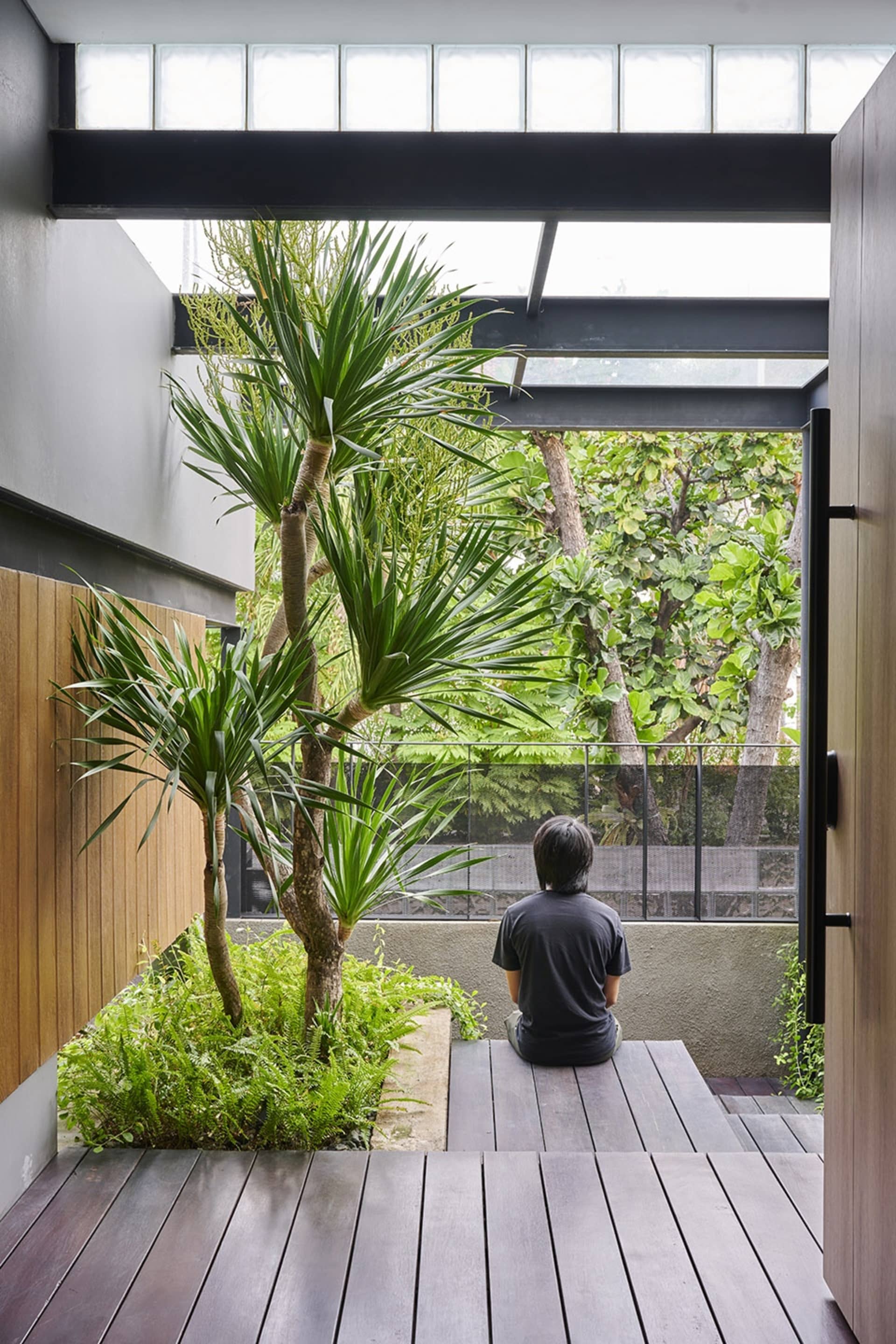 A modern living space featuring wooden flooring and lush green plants.