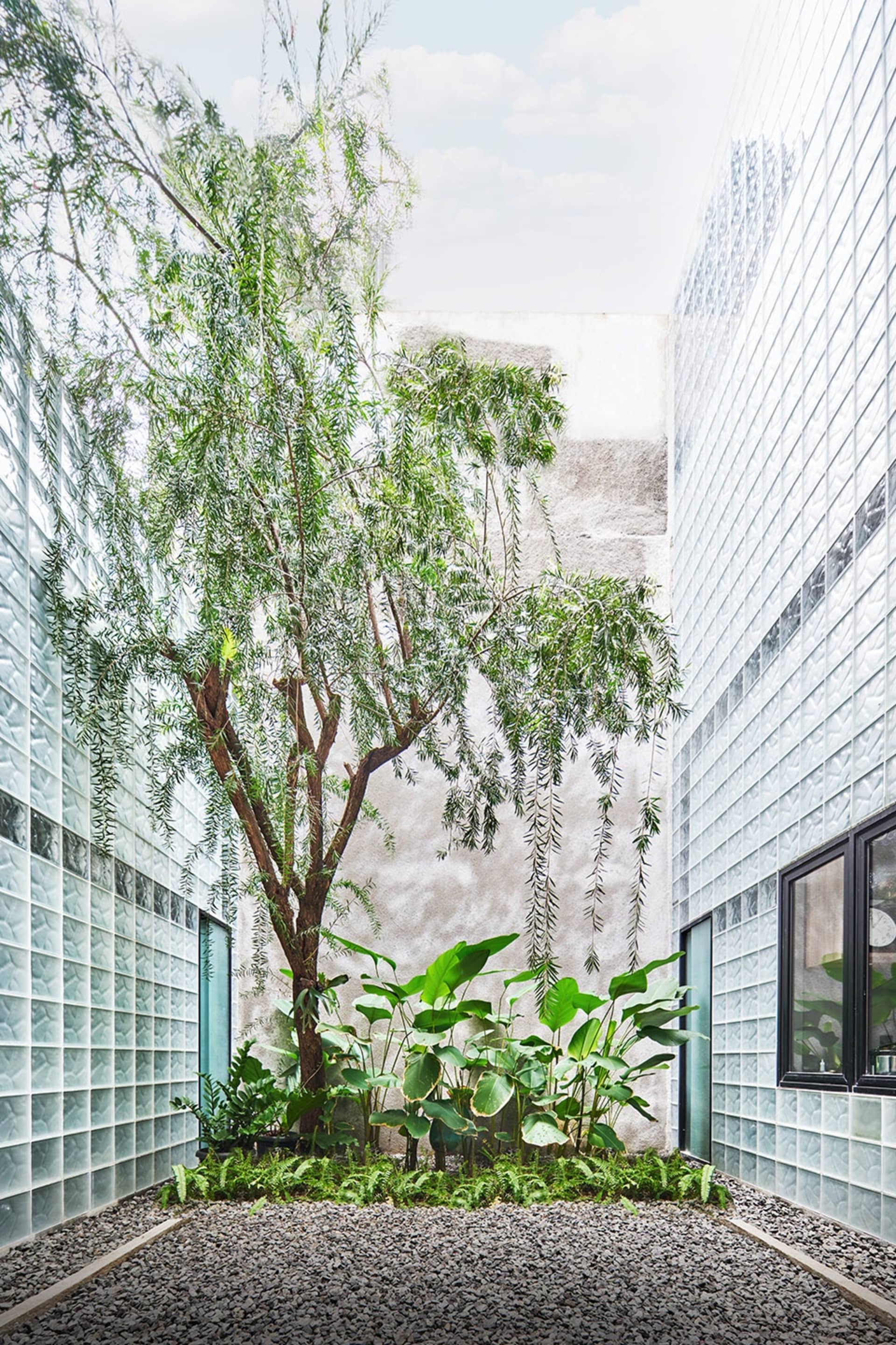 A minimalist green space surrounded by glass-brick walls.