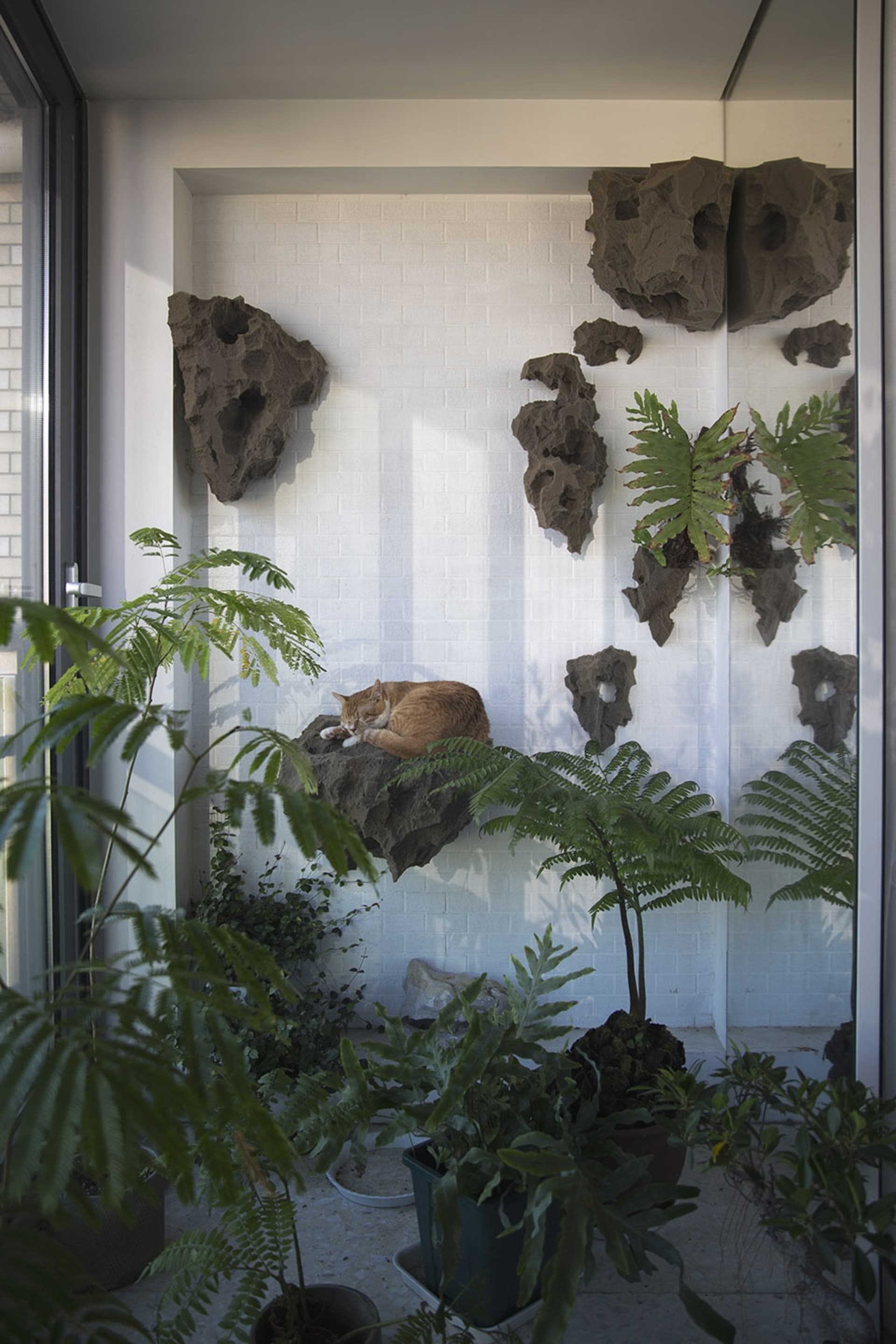 A cat sleeping peacefully amidst green plants and features resembling rock holes in a white-brick wall