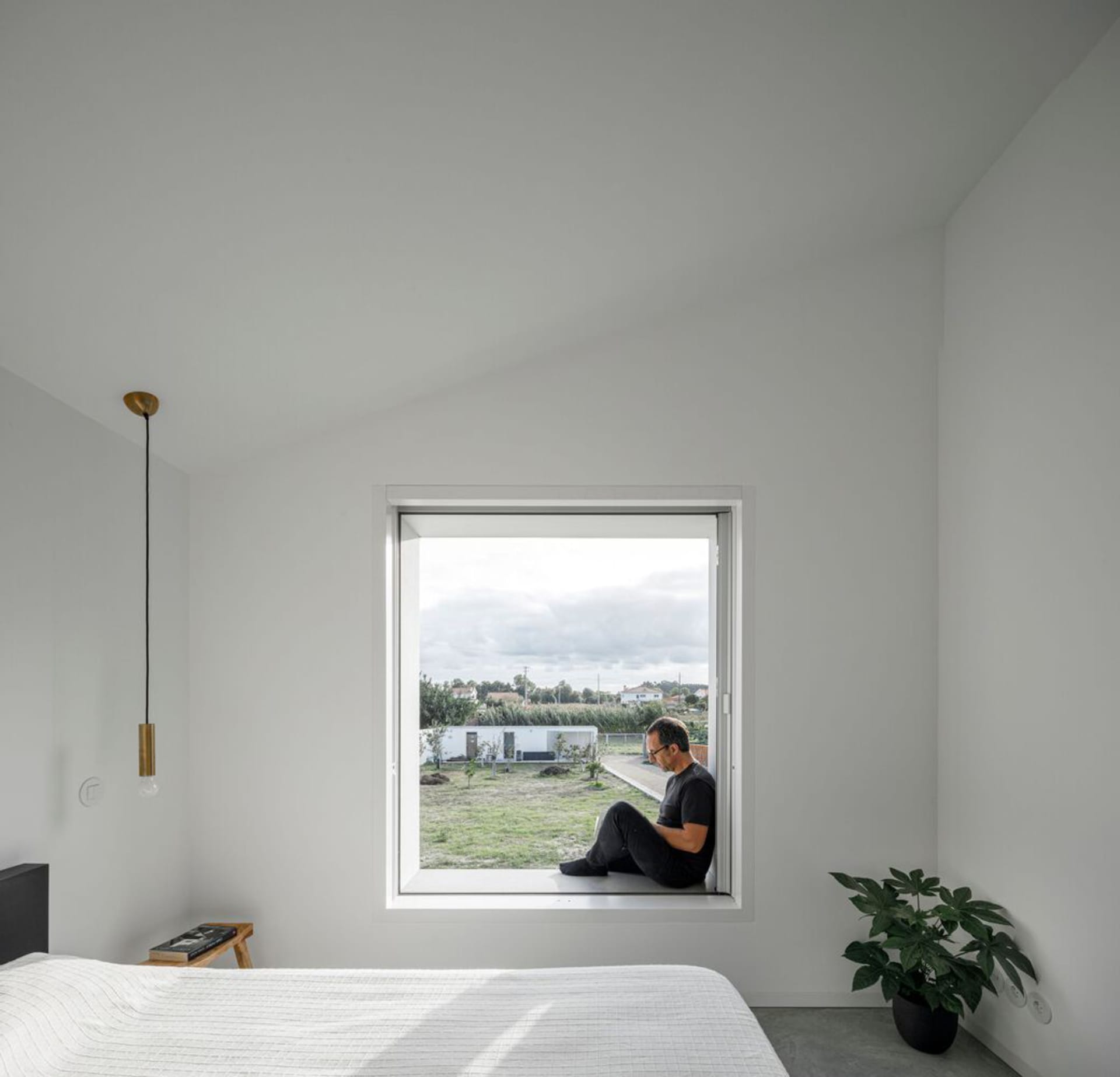 A minimalist bedroom with a bed, window, and green plant.