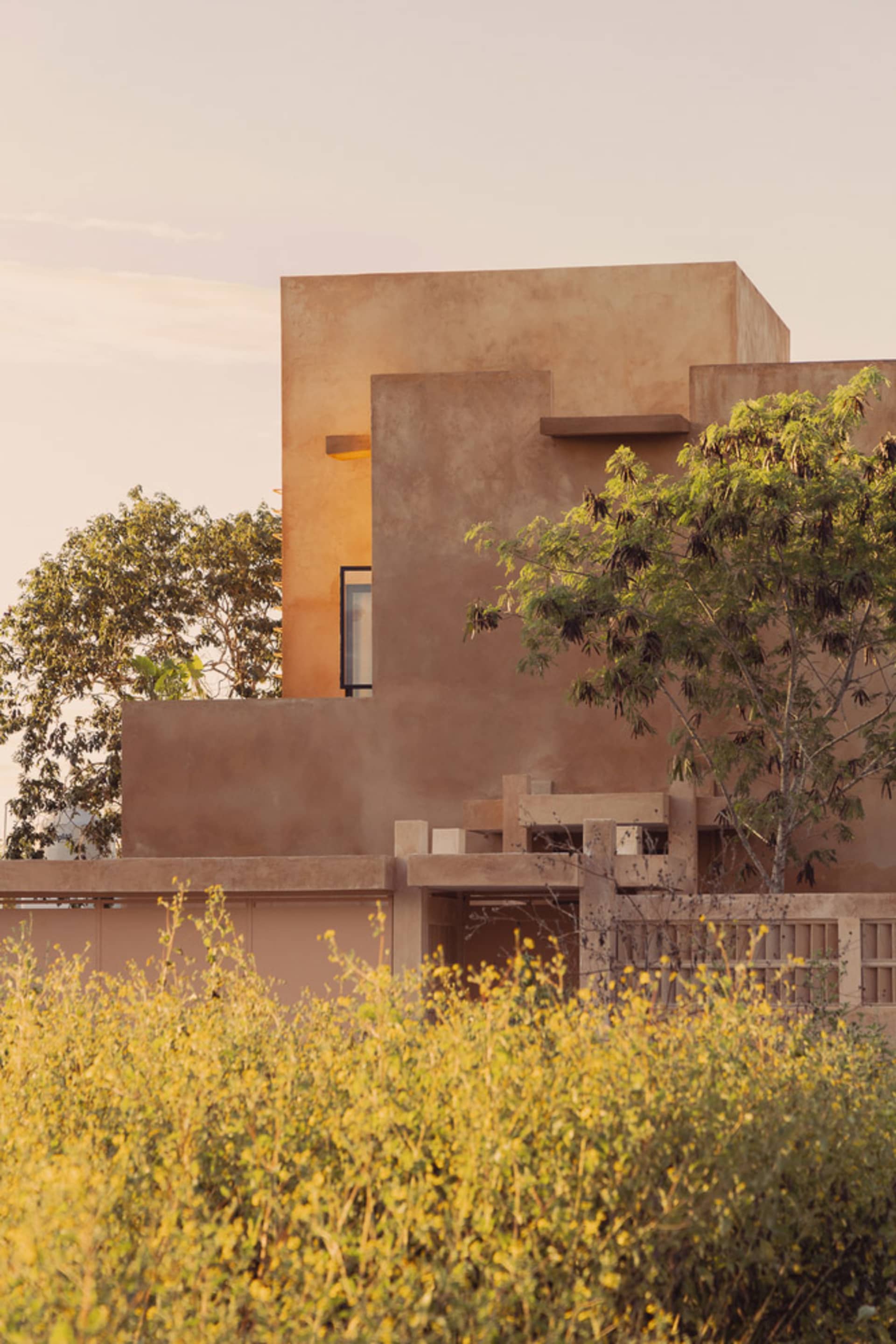 Concrete building exterior with green foliage in the foreground.