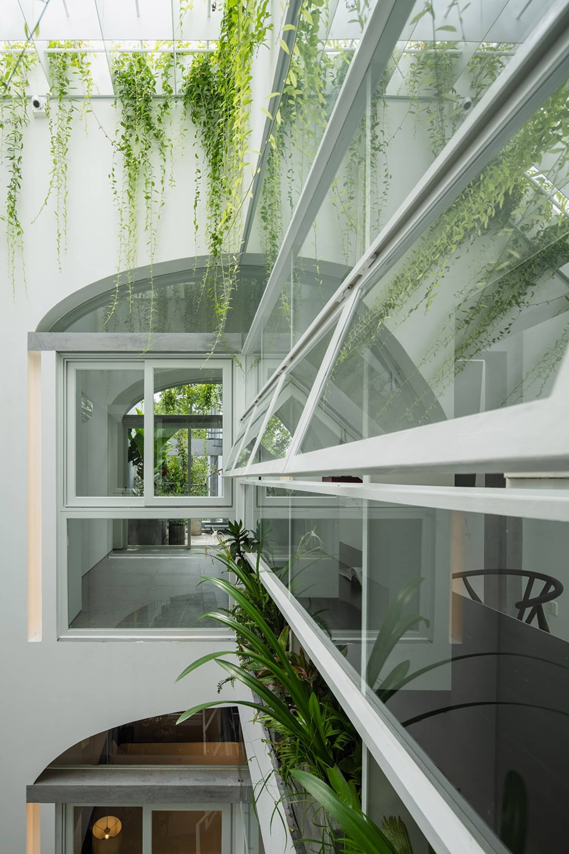 Modern greenhouse with glass walls and green plants inside
