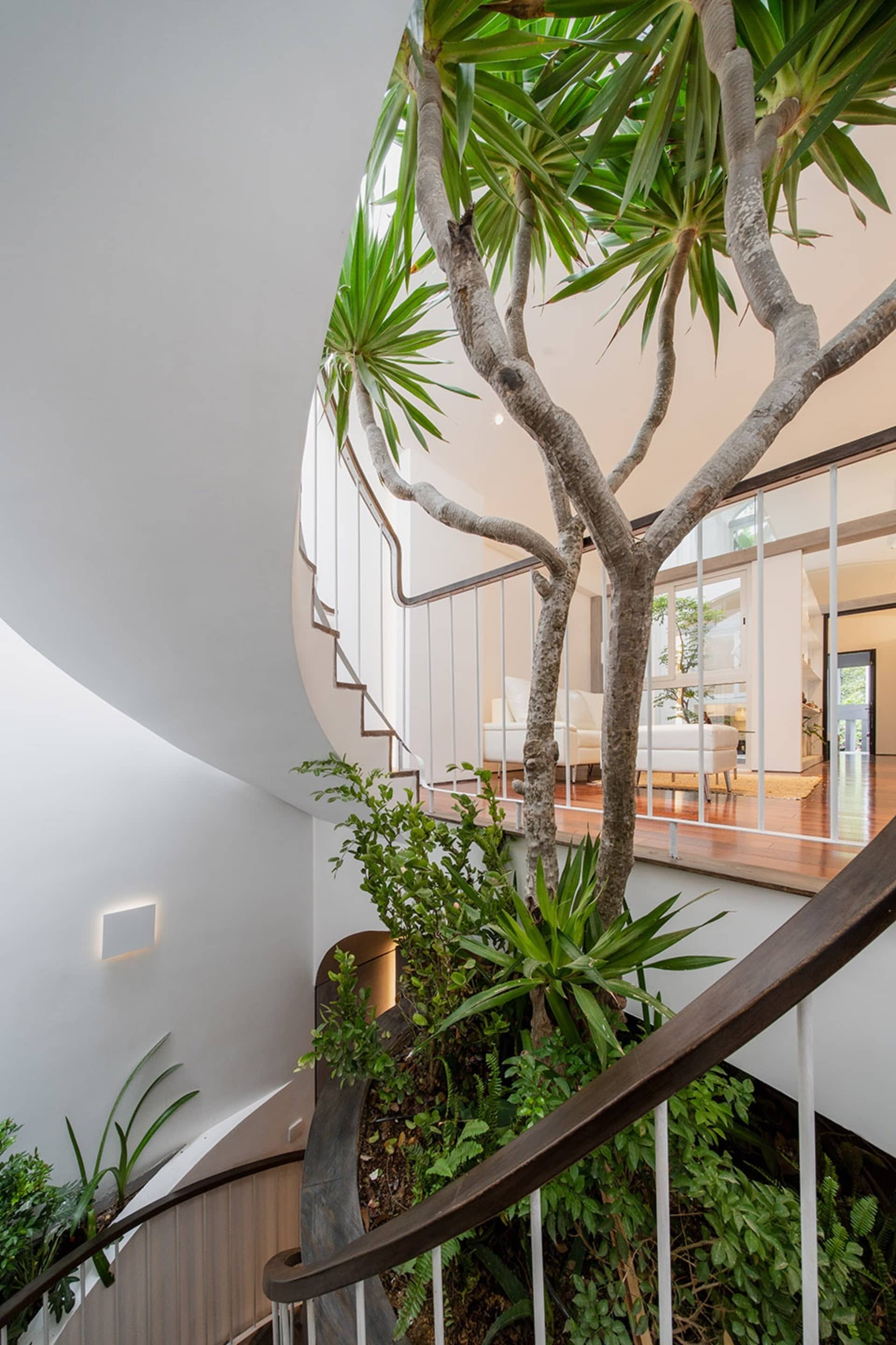 Modern staircase with greenery, wooden railings, and glass wall, featuring potted plants and natural light.