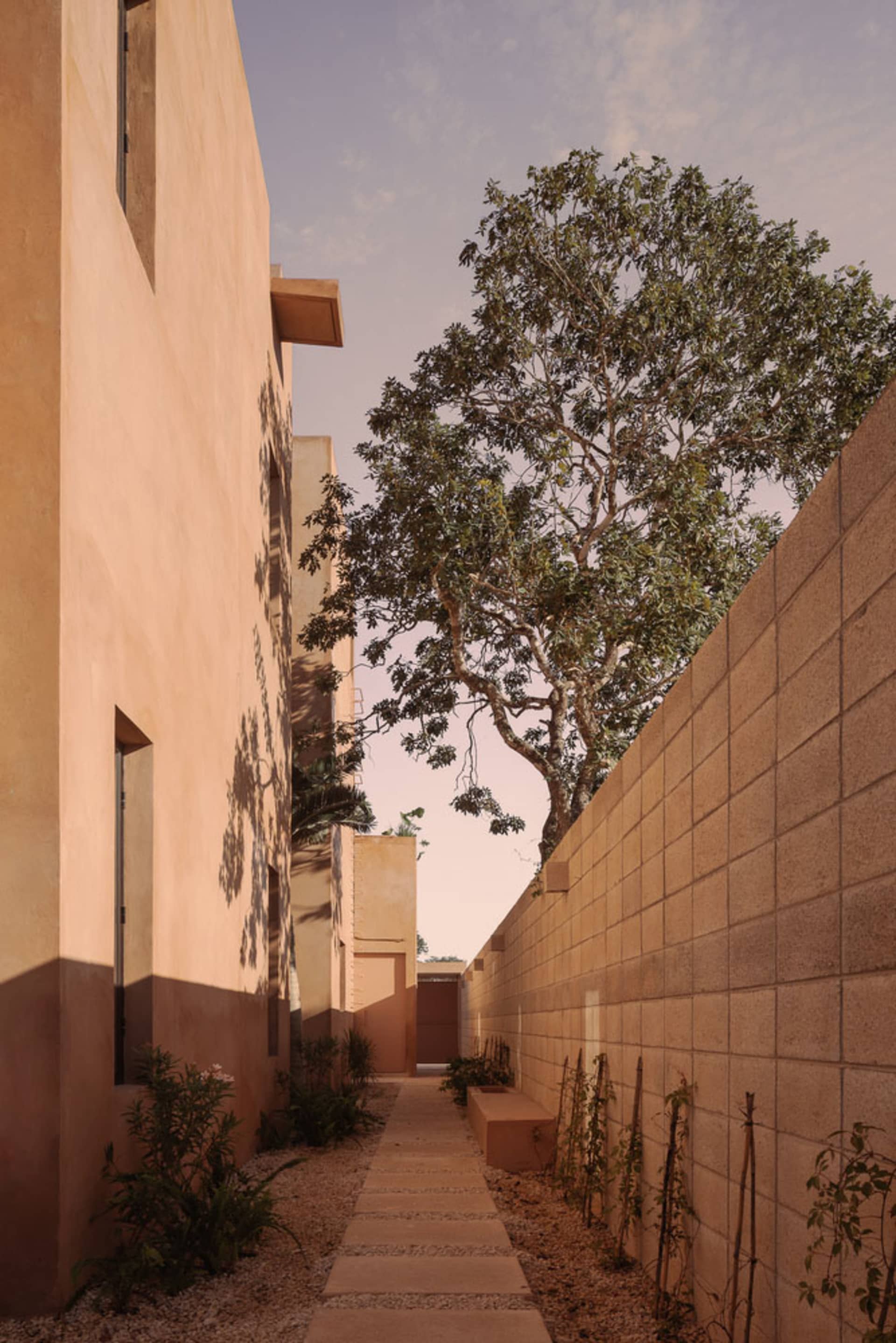 Concrete pathway surrounded by greenery in a modern architectural setting.