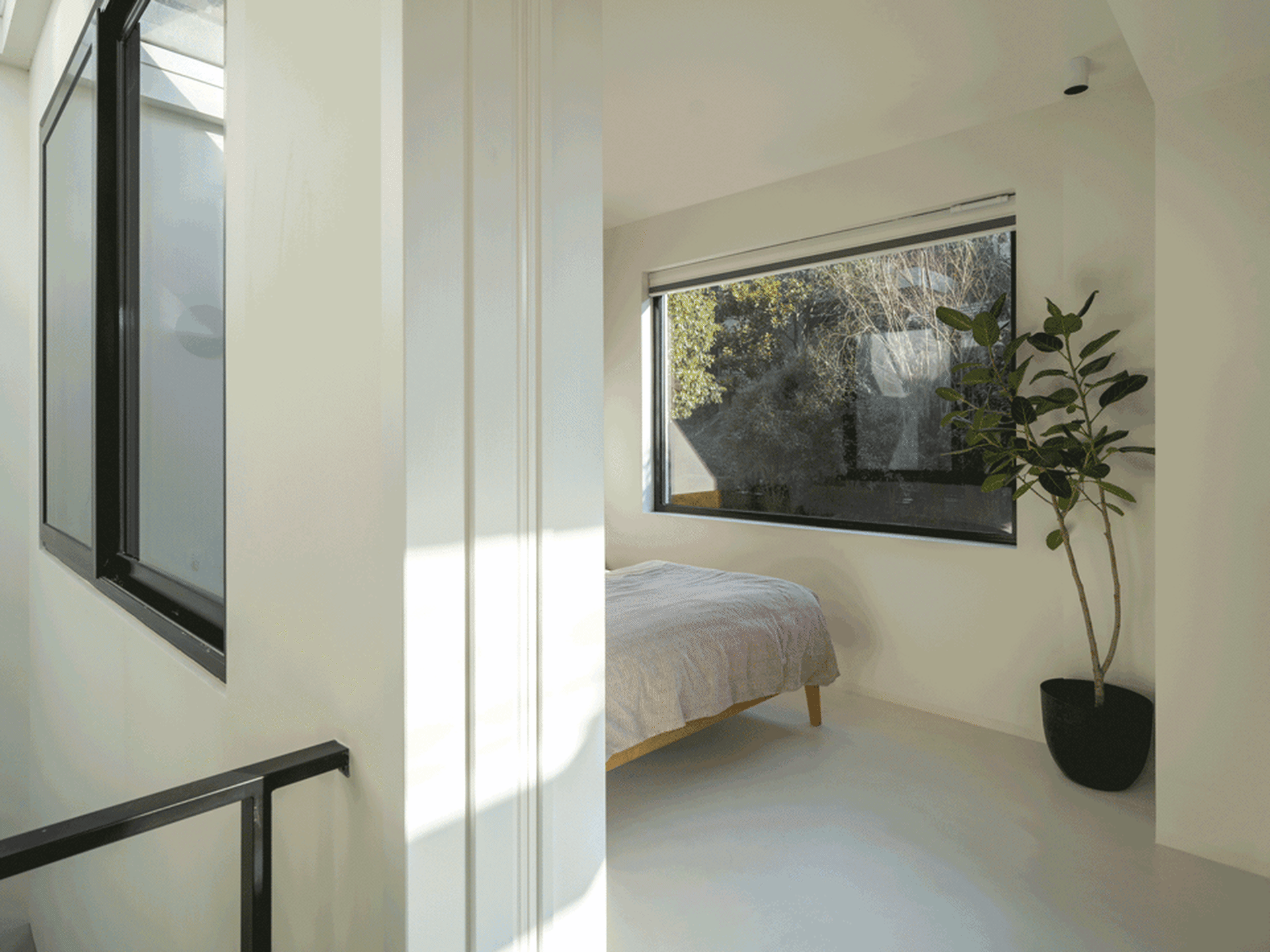 A minimalist bedroom with white walls, a single bed, and a potted plant in a black pot.