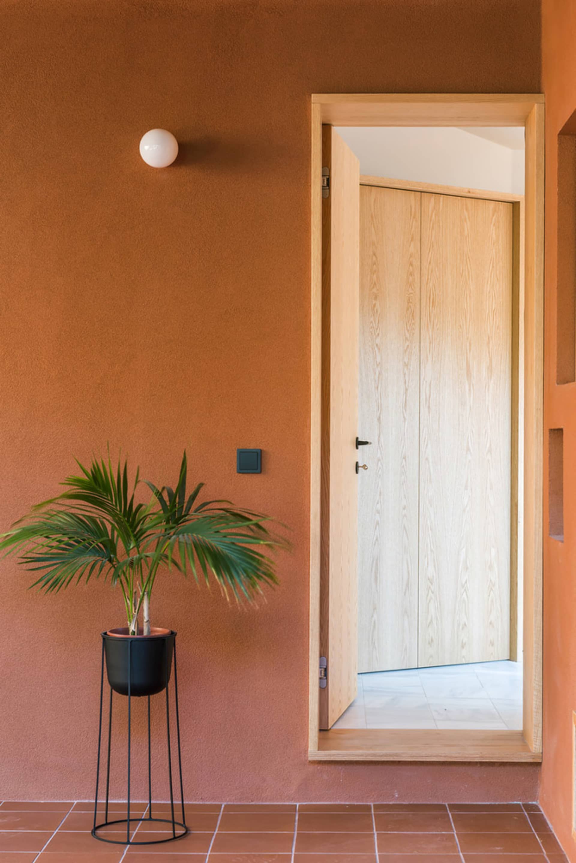 Minimalist entryway featuring a wooden door and a green plant.