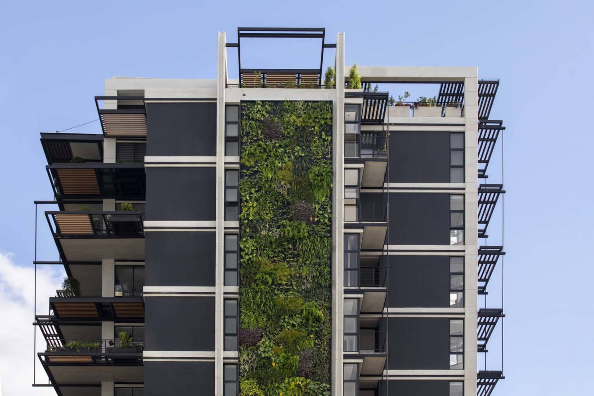 Modern apartment building with a vertical garden wall