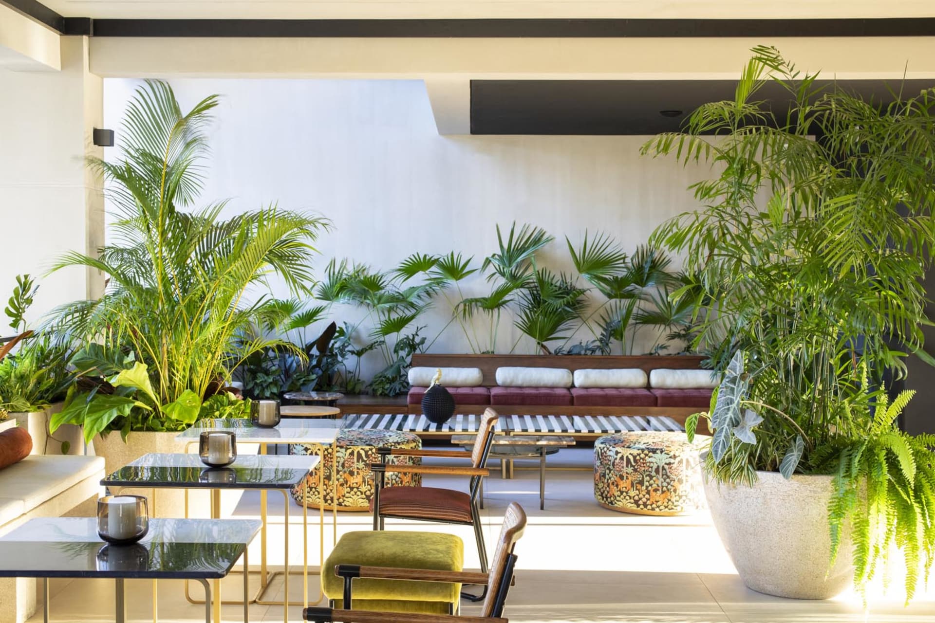 A modern living room with natural materials and green plants.