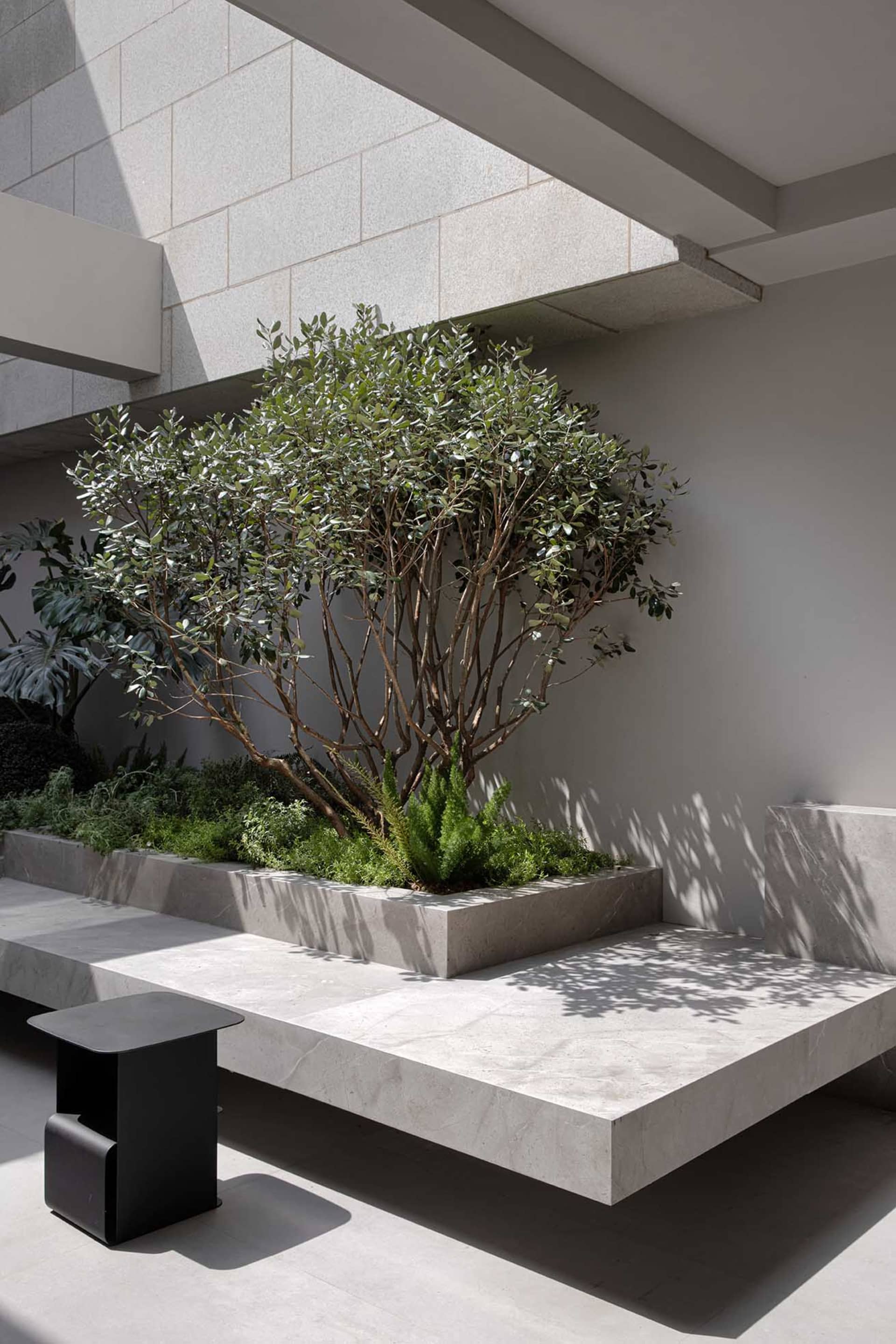 建築空間中的混凝土花盆與綠意植栽。