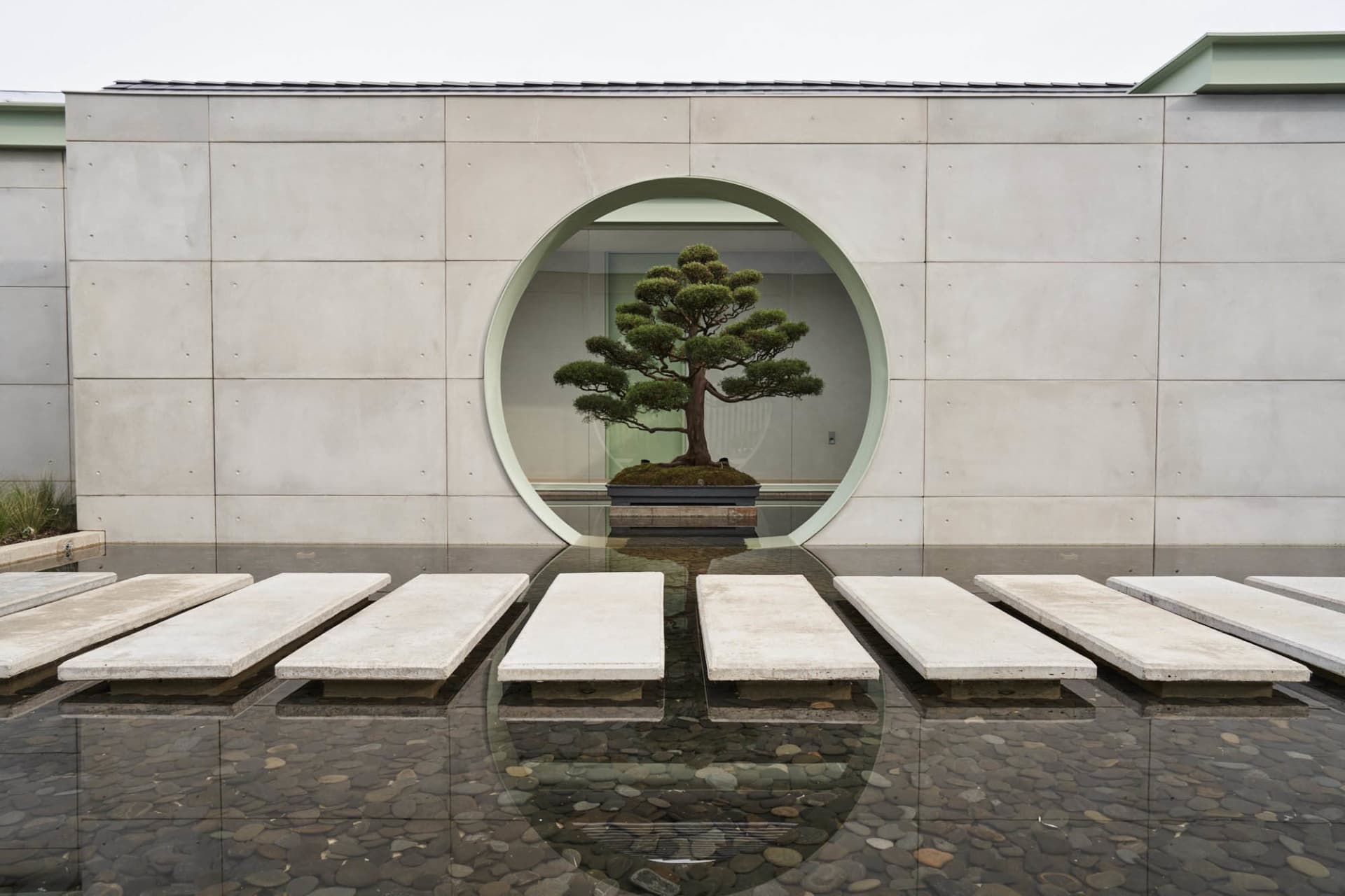 A minimalist landscape featuring a concrete planter with a gnarled bonsai tree.