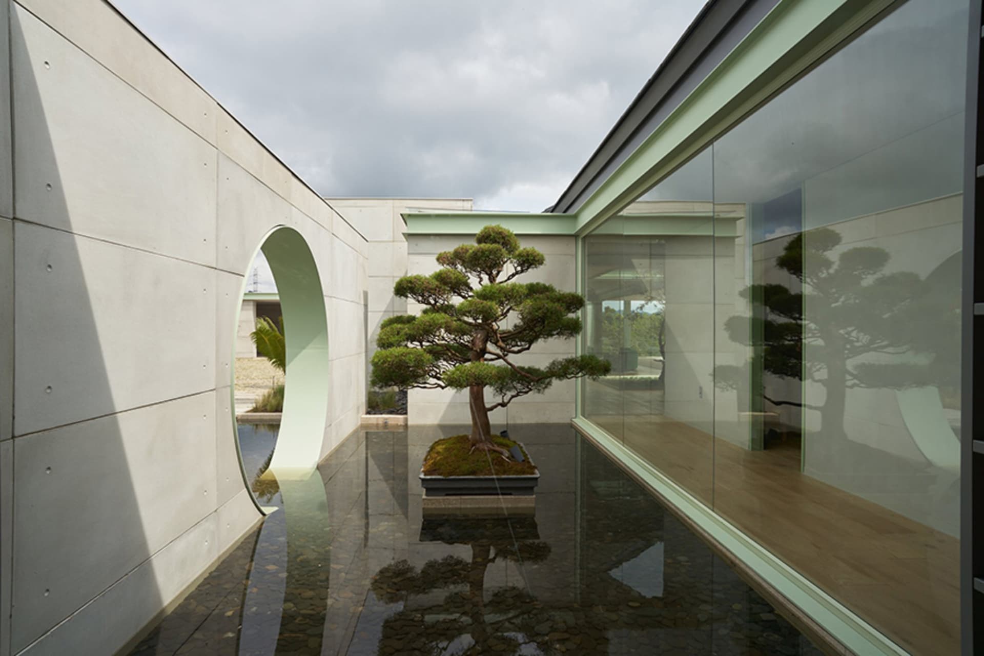 A minimalist garden featuring a bonsai tree, concrete structure, and glass wall.