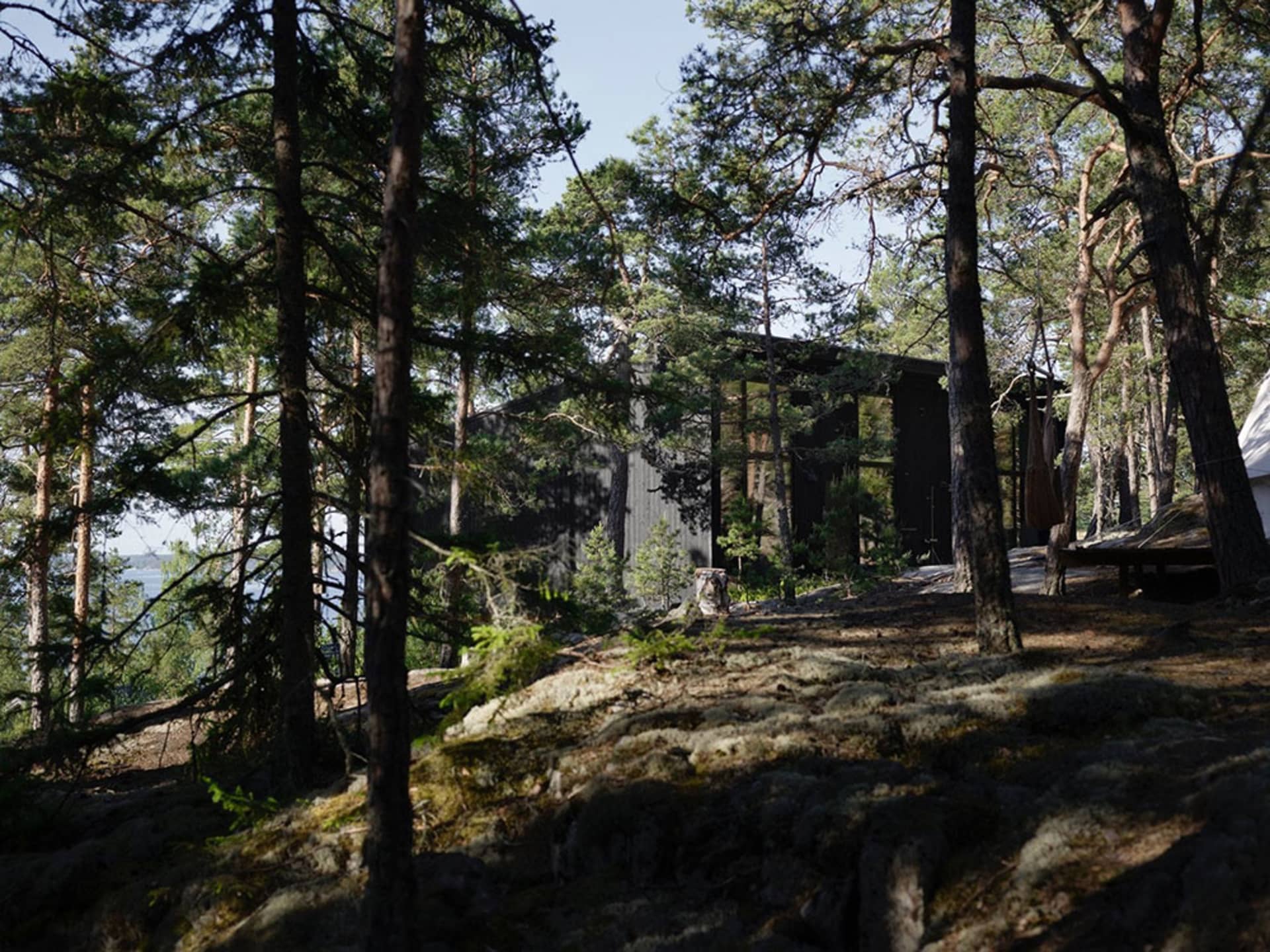 A minimalist residential cabin surrounded by trees with a modern design