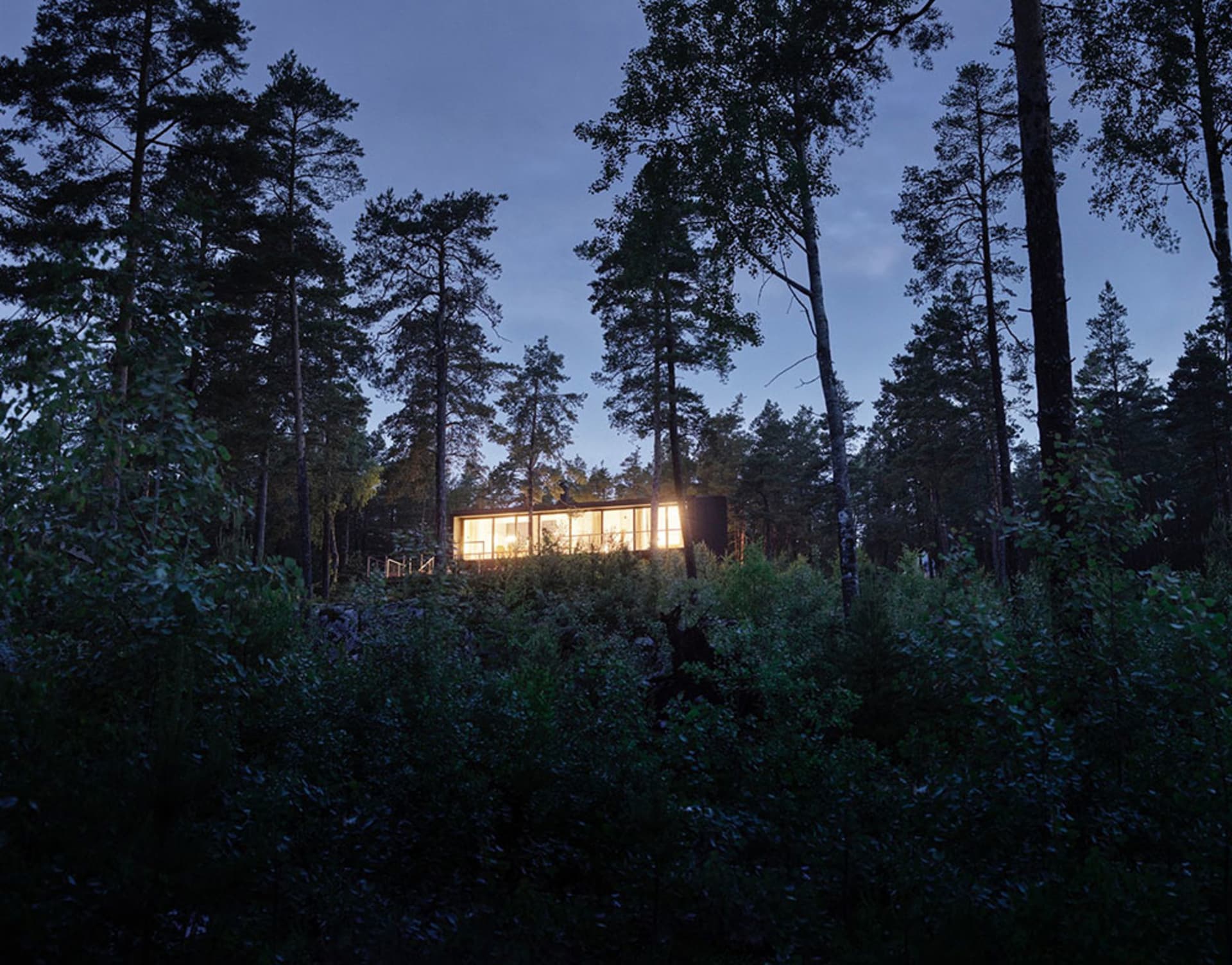 A modern house with large glass windows set against a backdrop of tall trees at dusk.
