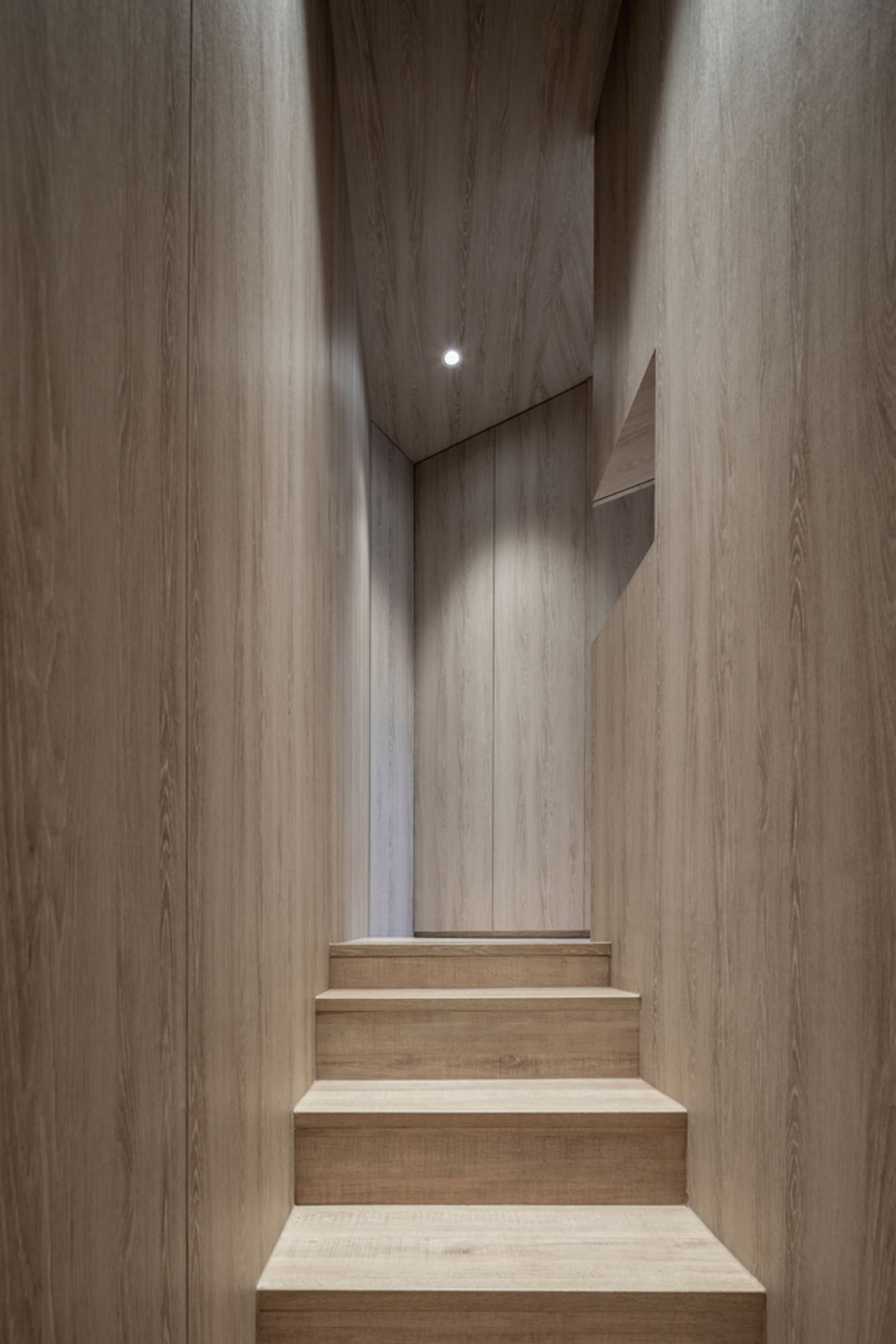 Modern interior space with wooden stairs and walls.