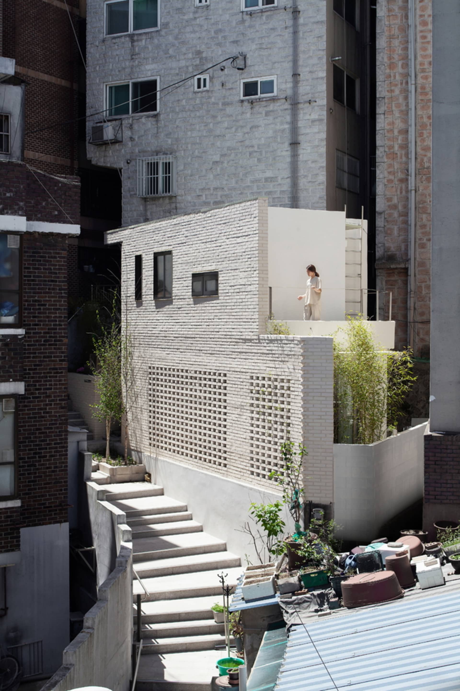 Urban rooftop with concrete steps and potted plants, white brick building and windows