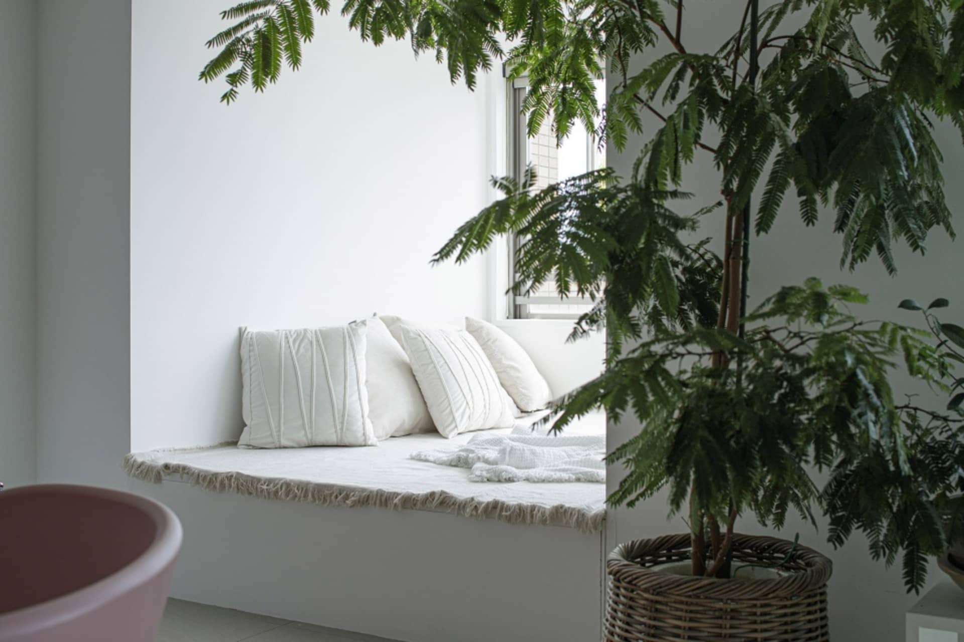 A cozy window seat with white cotton blankets and a small green potted plant nearby.