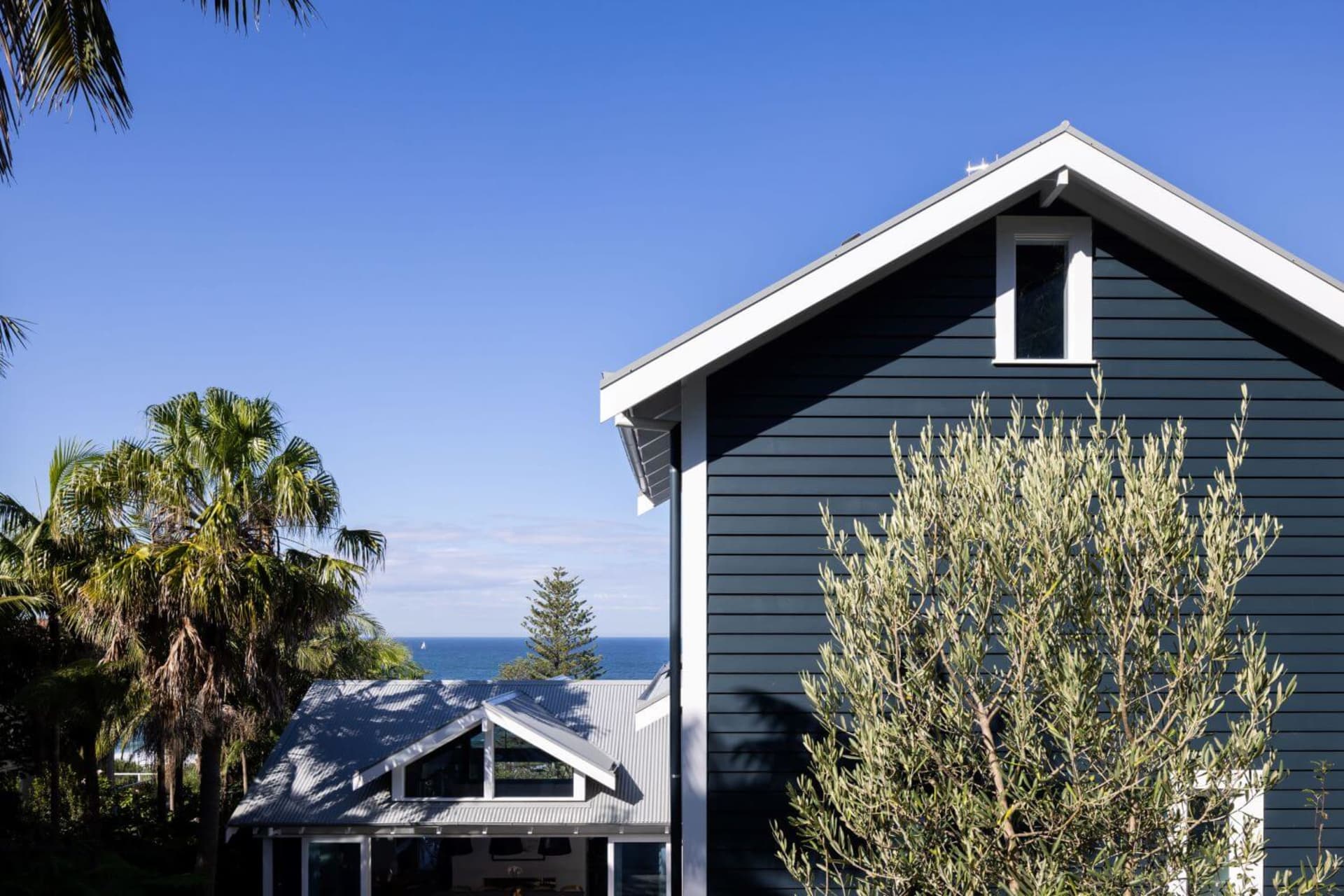 A coastal residential exterior featuring dark blue siding and white trim against a clear blue sky with palm trees in the fore