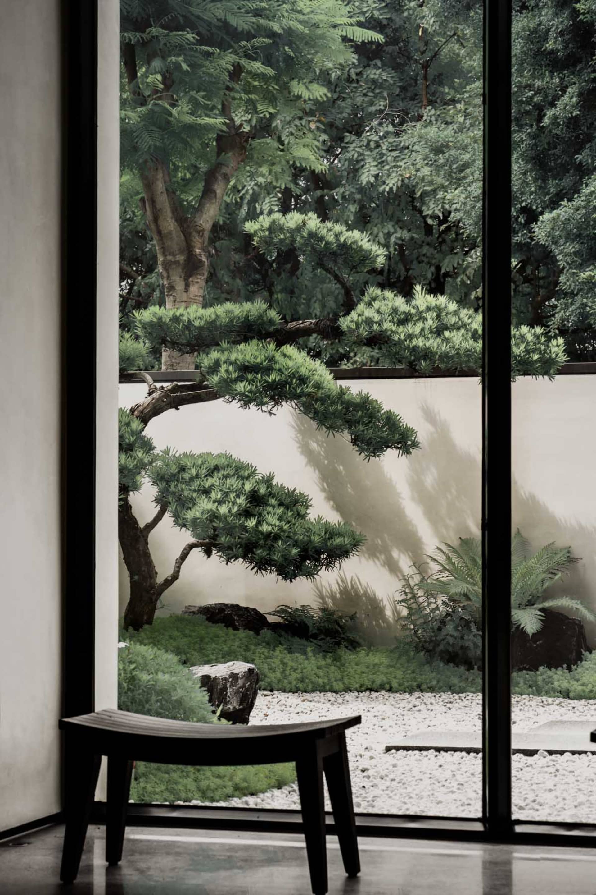 寧靜的室內庭園，展現極簡風格的盆栽與碎石步道。