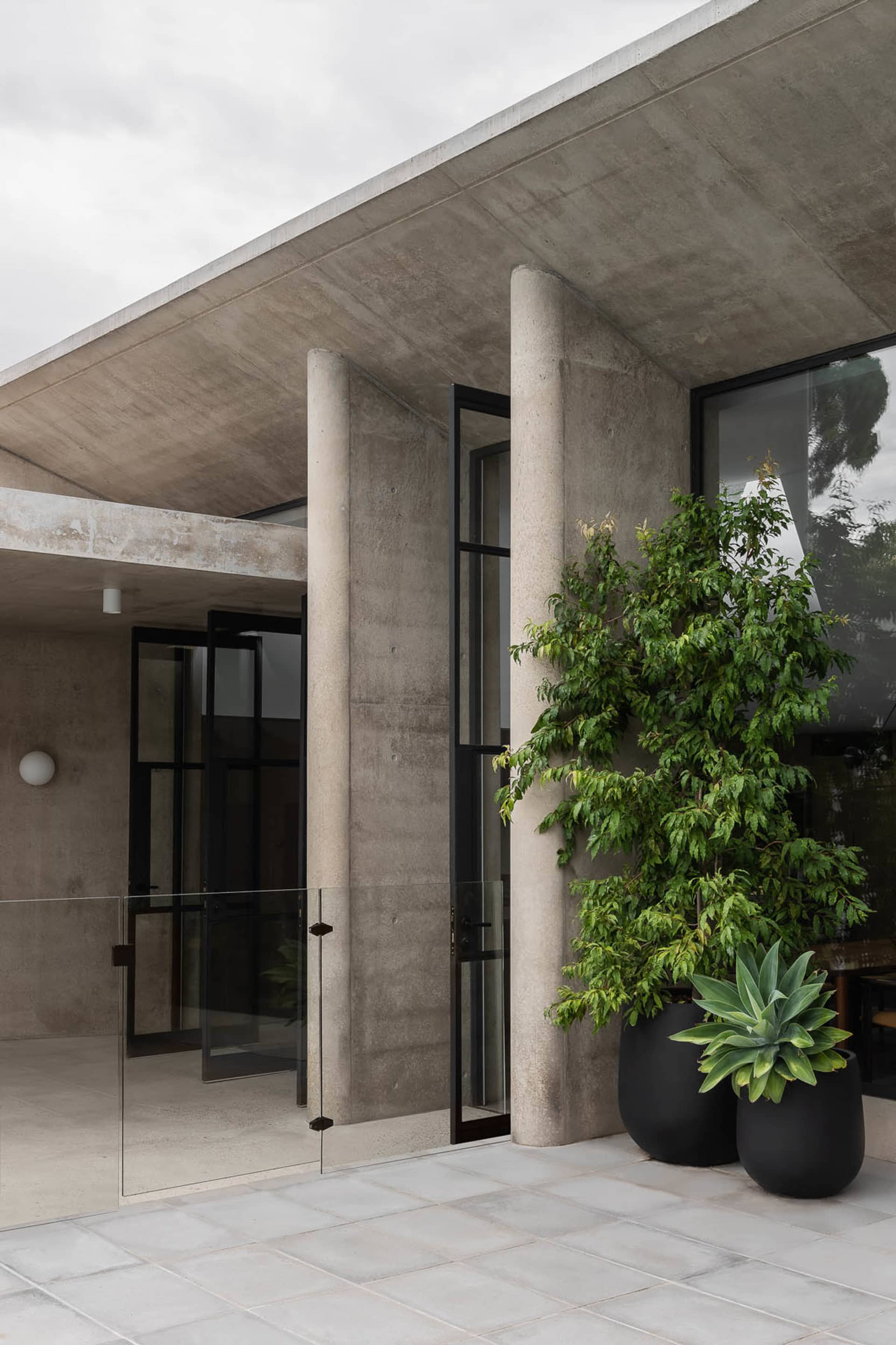 A modern concrete entrance with large glass doors and a lush green plant in a black planter.