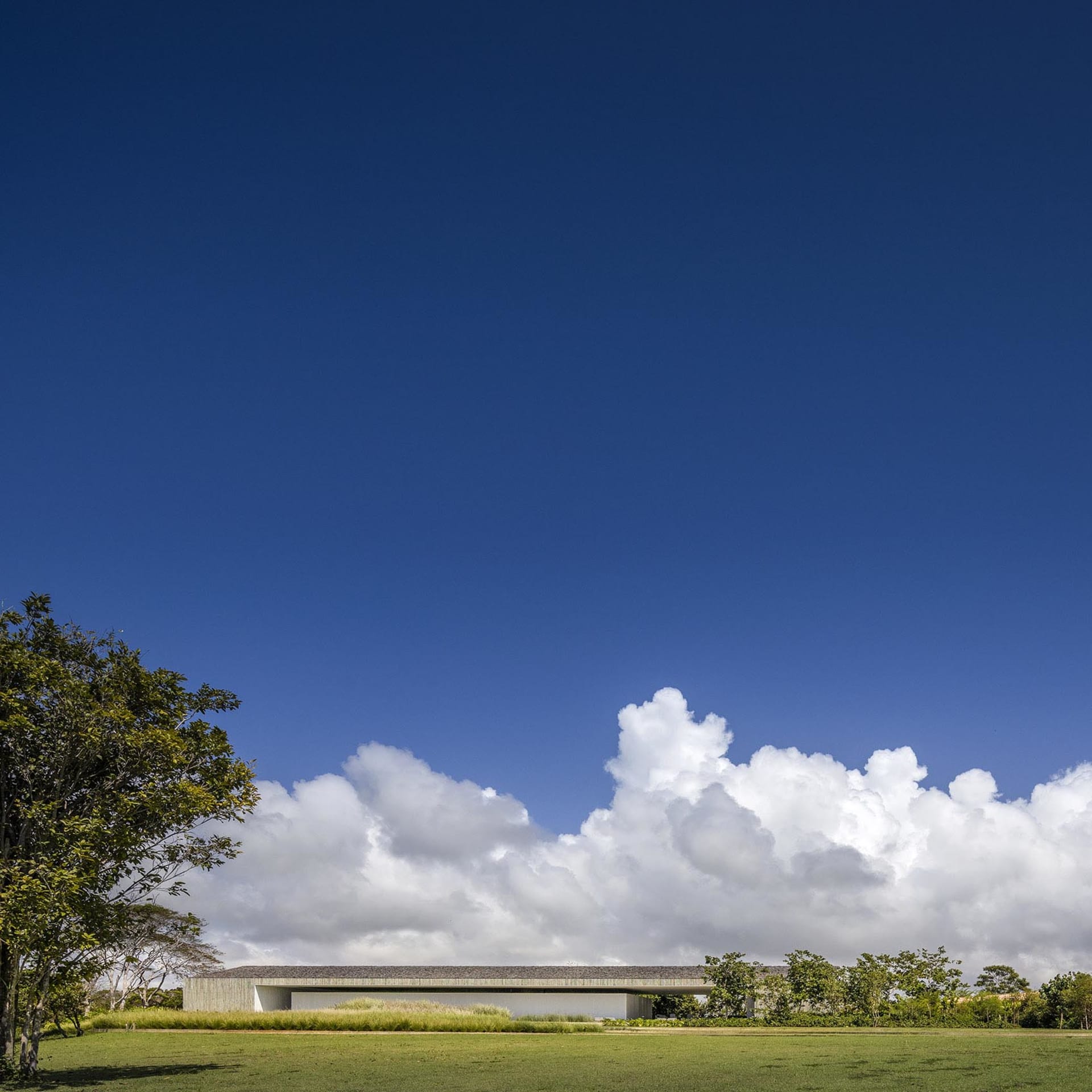 A modern building with a concrete facade surrounded by lush greenery and a clear blue sky.