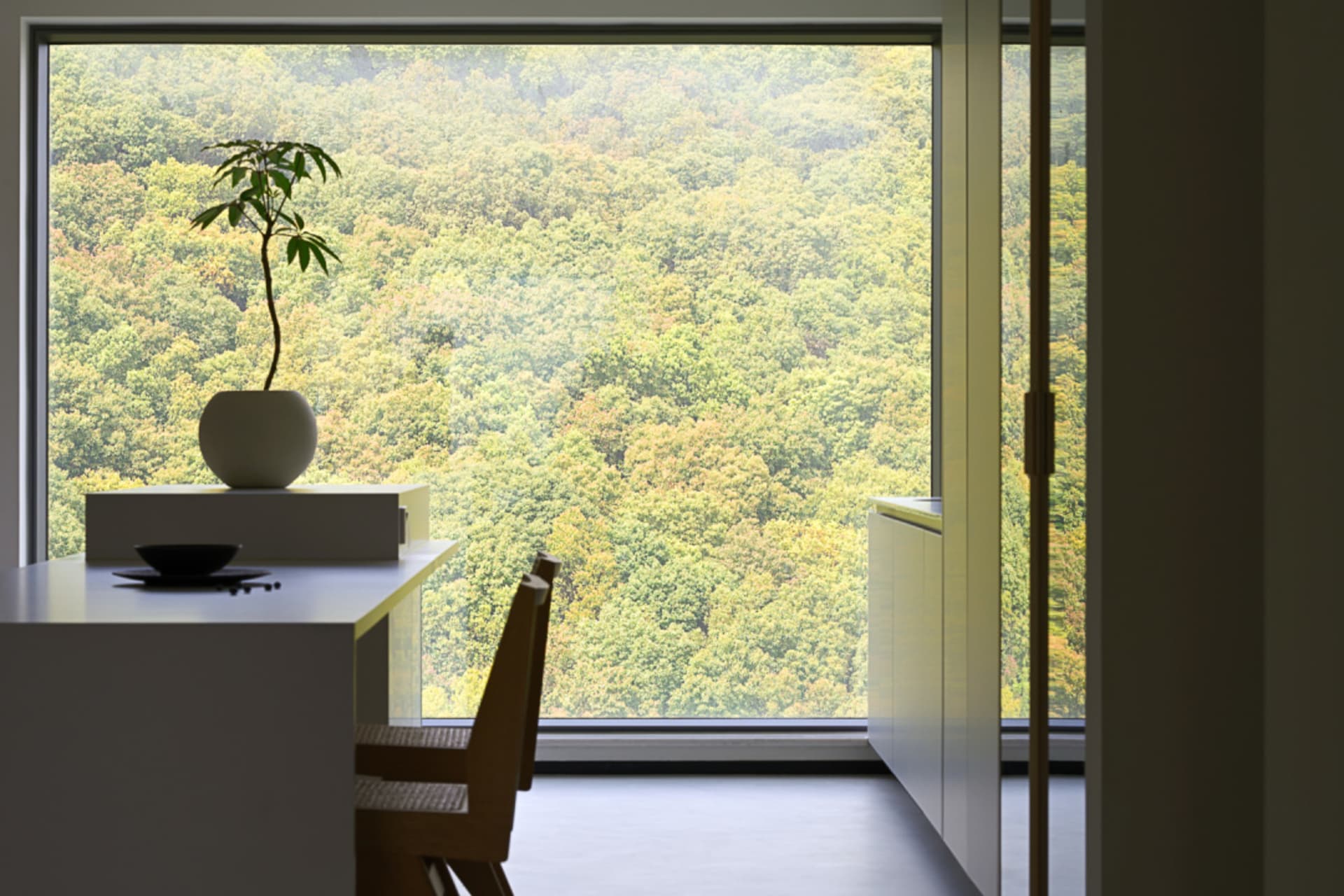 A minimalist sitting area with glass window frame overlooking a lush forest.