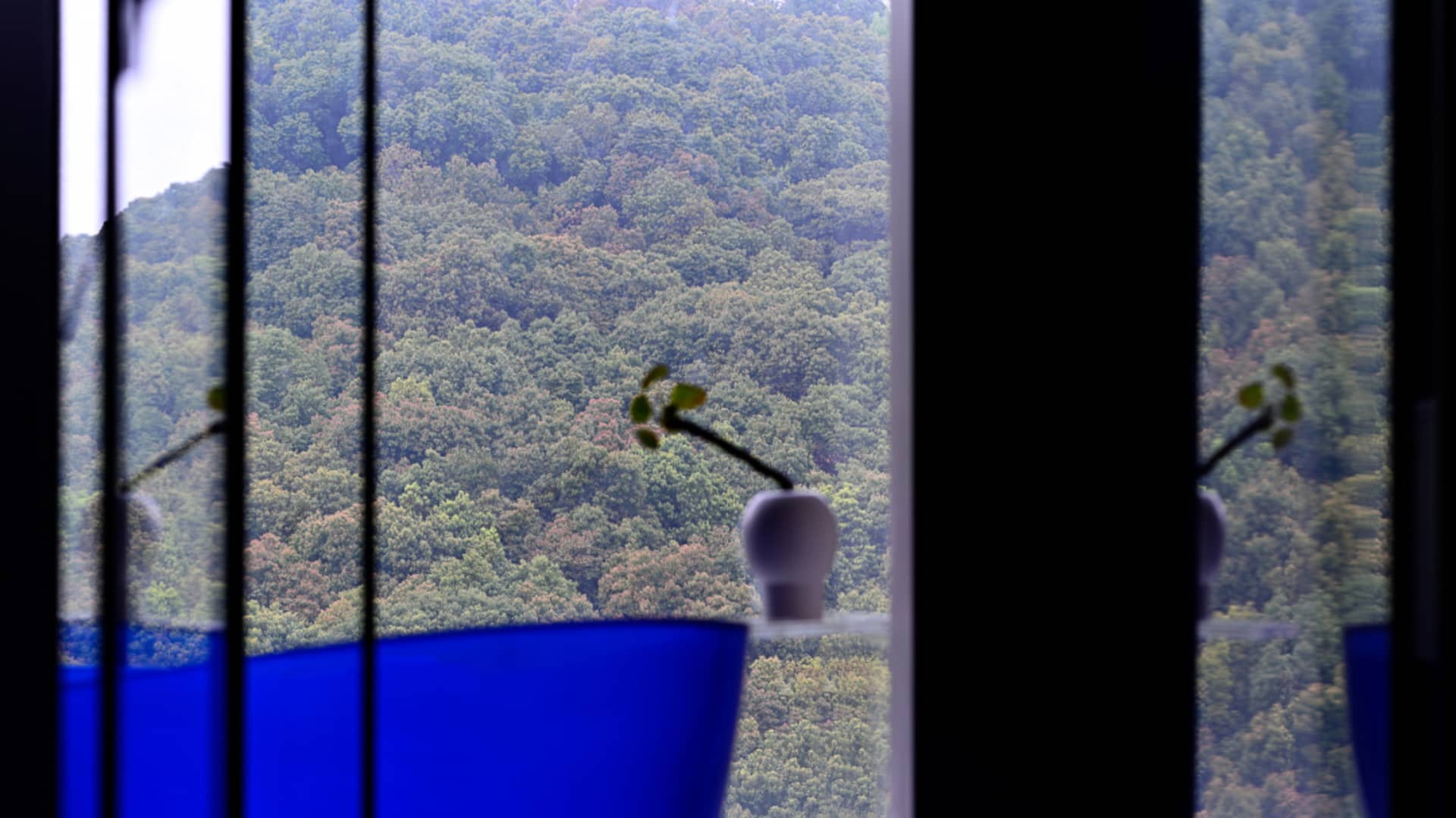 A blue vase with green plants sits on a windowsill, with a window showing a lush green forest beyond the blinds.