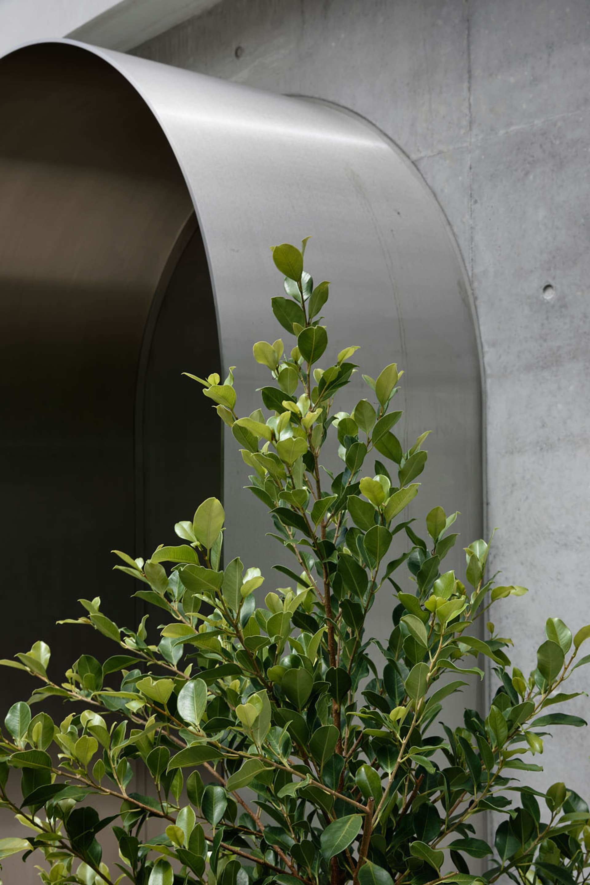 Modern interior space featuring a textured concrete wall and green foliage.