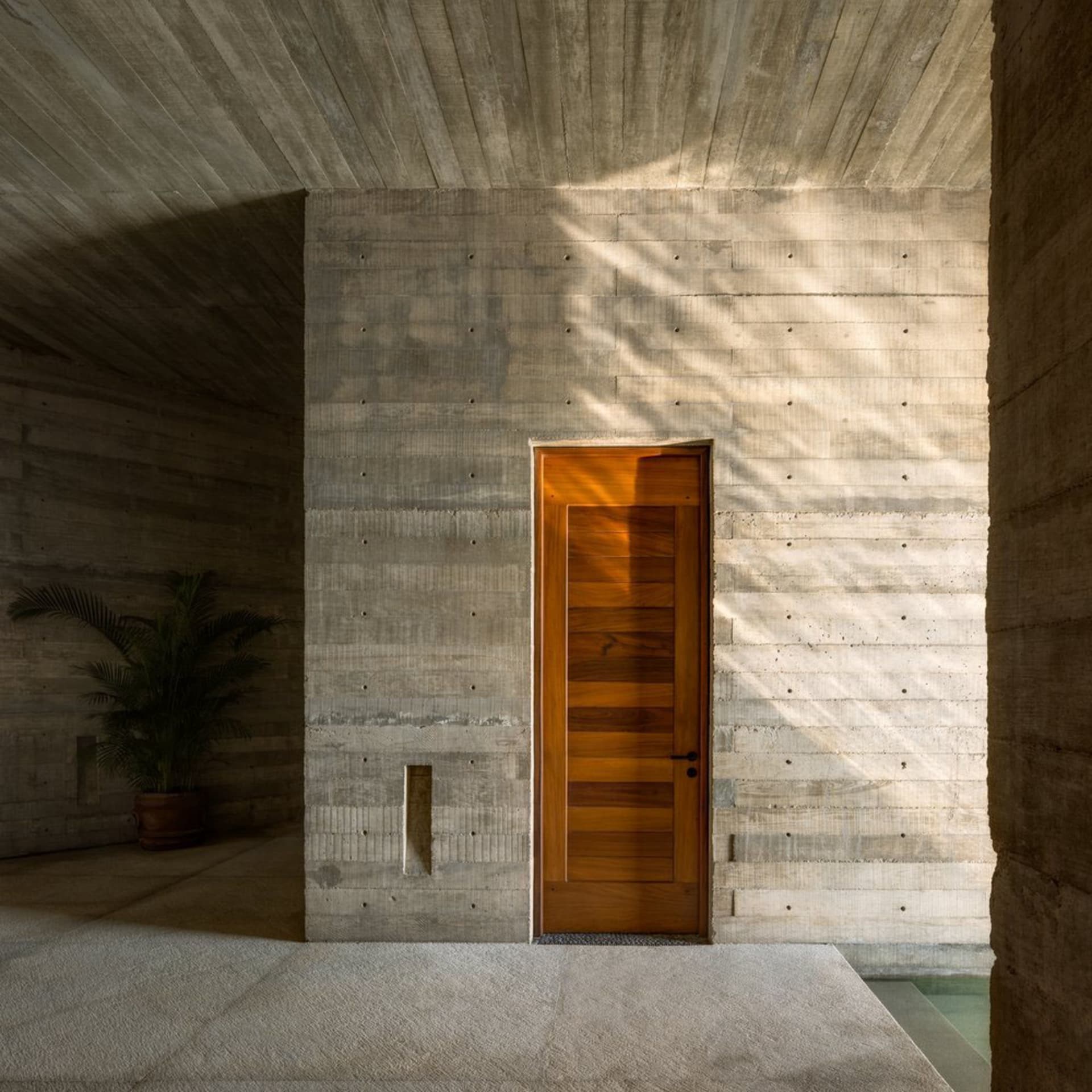 Modern minimalist interior design featuring a concrete wall and a wooden door.