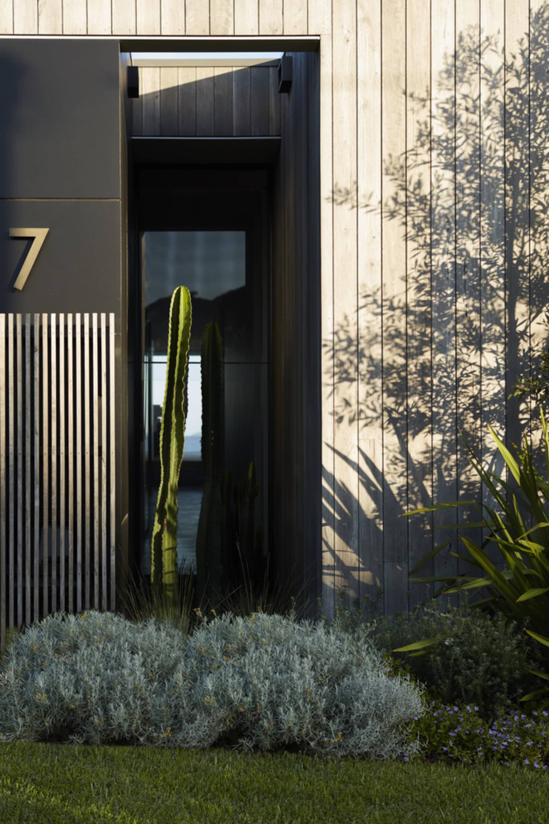 Modern entrance with concrete wall, large glass door, and cactus plant in front of a wooden building.