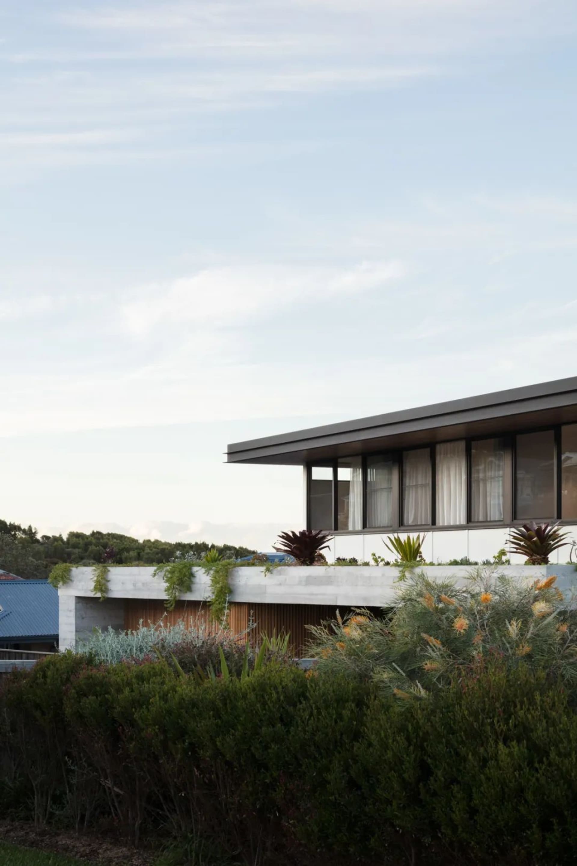 A modern house with a concrete exterior, featuring large windows and a rooftop garden.