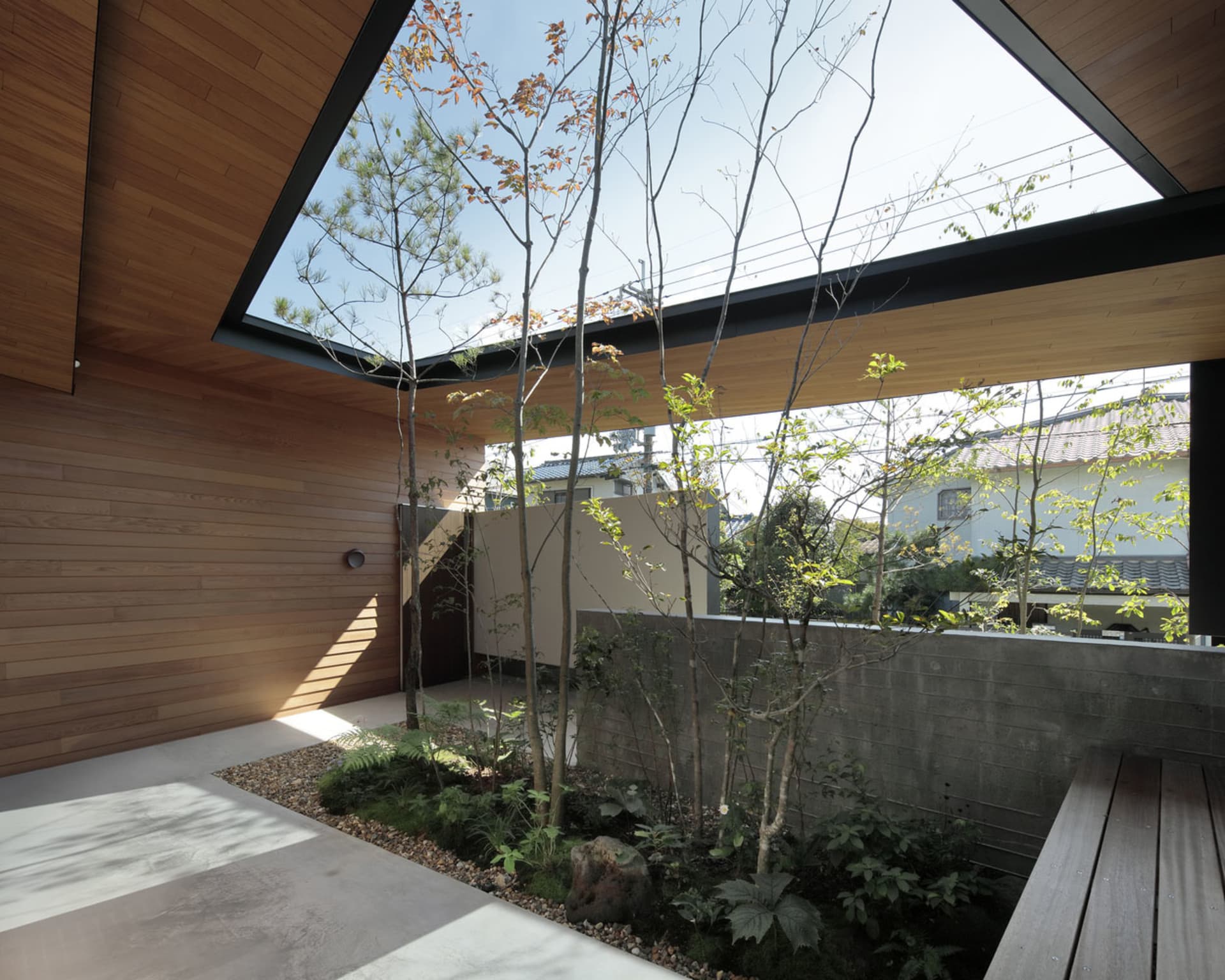 A modern residential space featuring a concrete and wood garden with trees and plants.