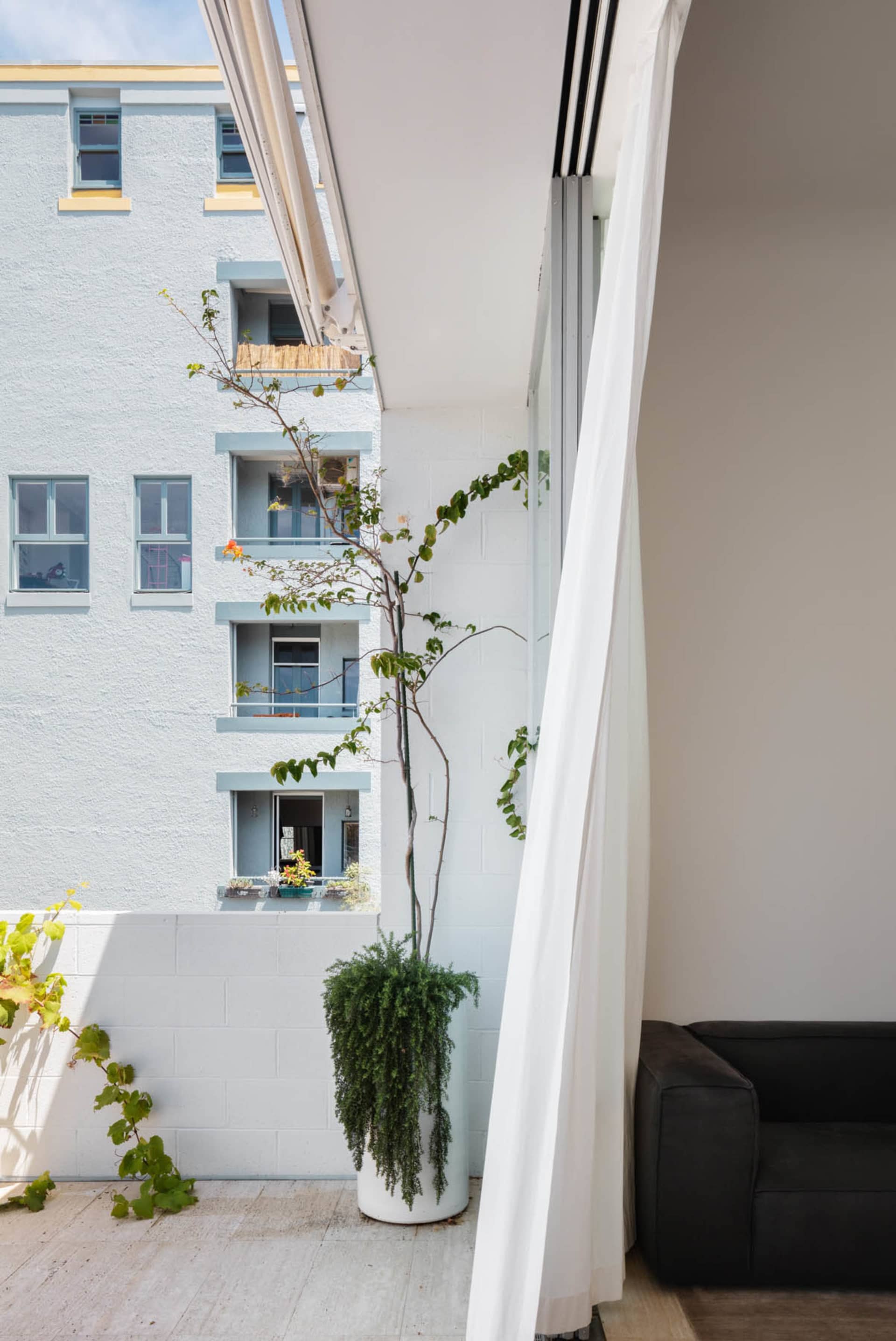 Modern, minimalist balcony interior with concrete planter and greenery.