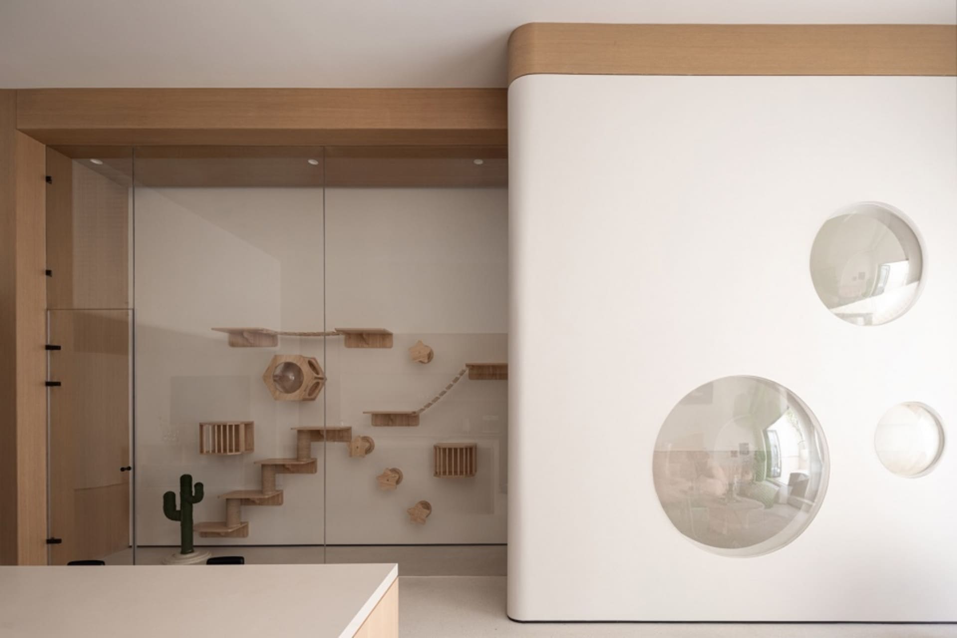 Modern interior design featuring a cat playzone with wood finishes.