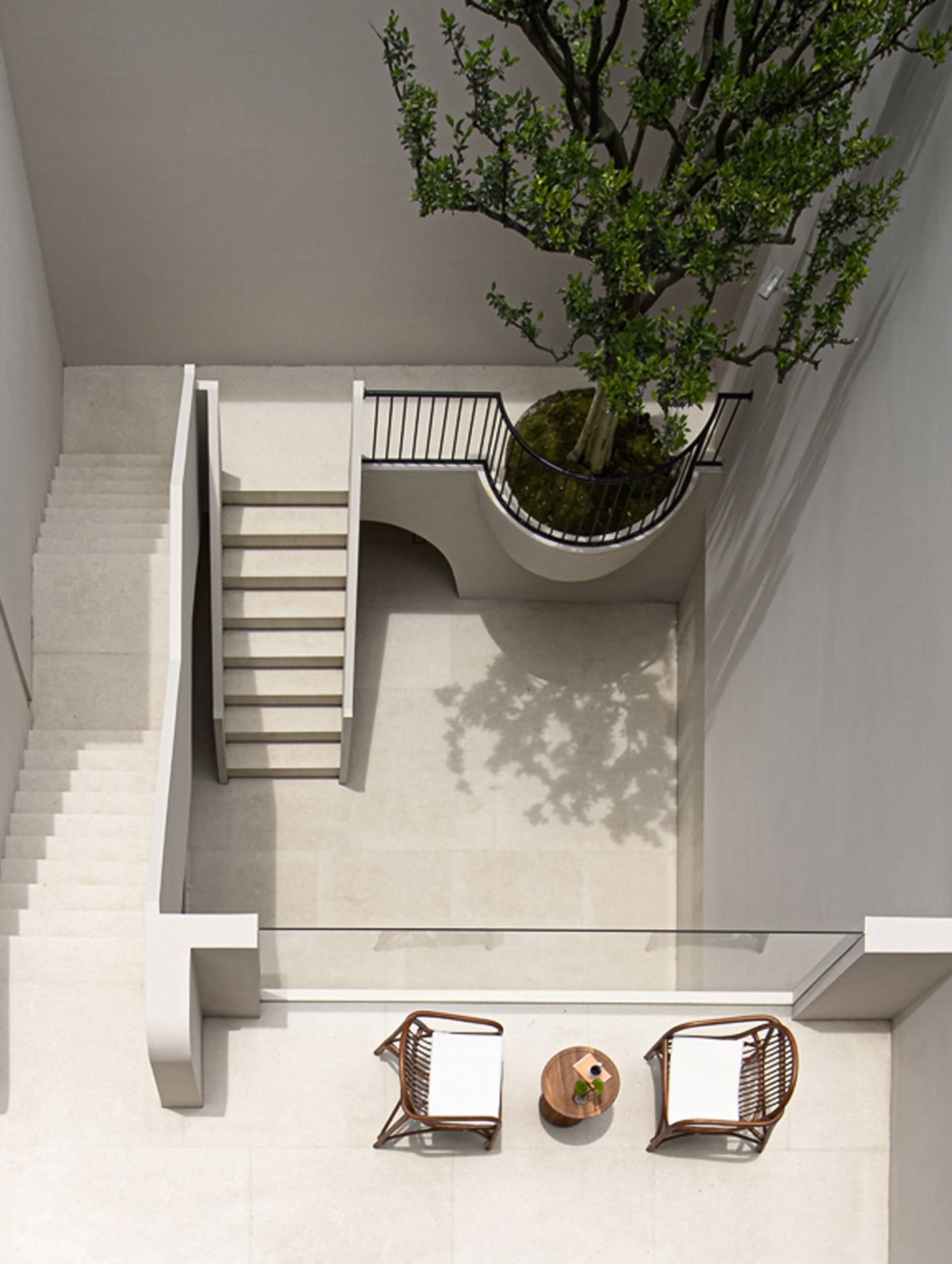 A modern courtyard with concrete flooring, stairs, and a potted tree.