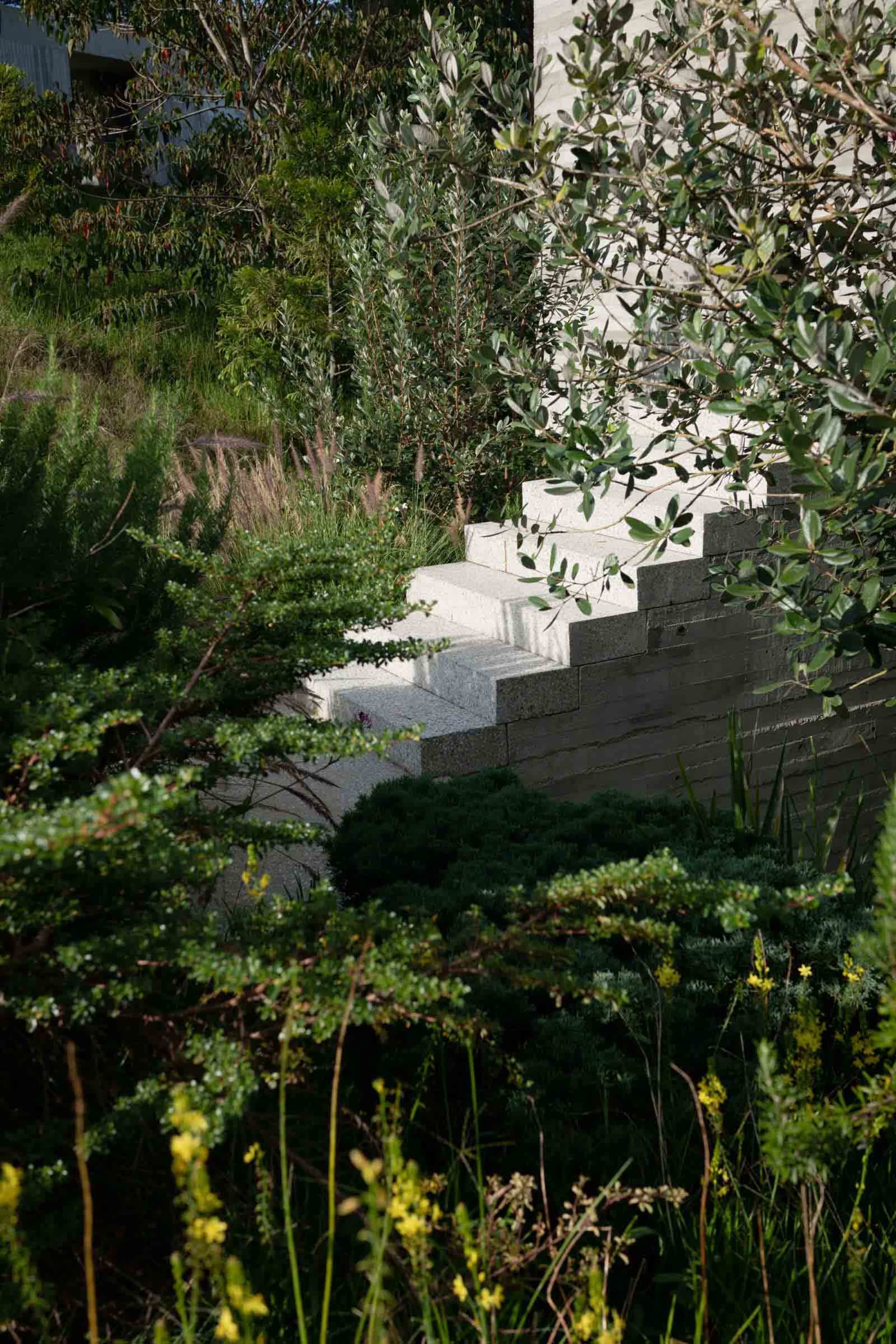 Modern stone staircase surrounded by lush greenery in a garden setting.