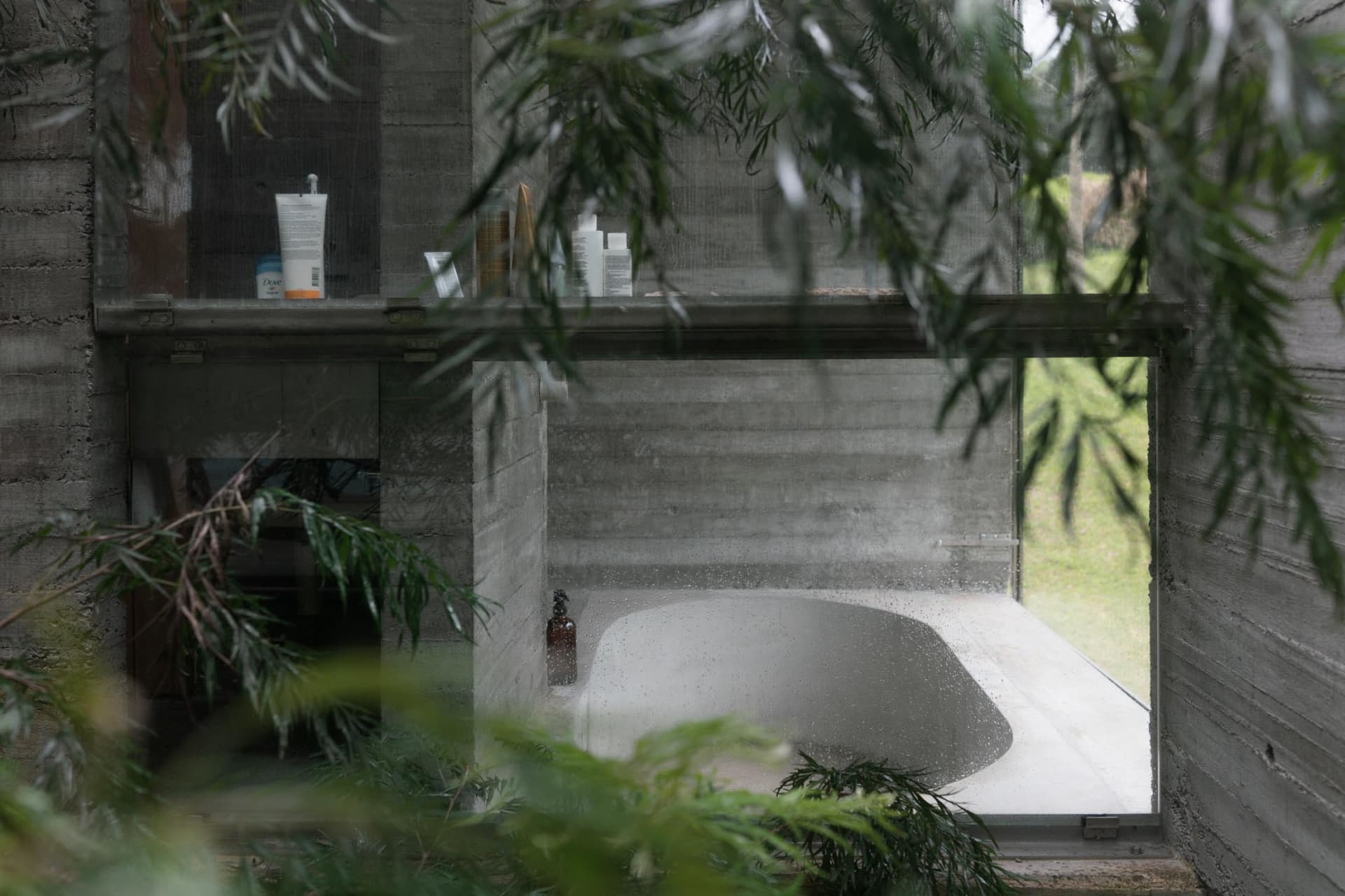 A minimalist bathroom with a concrete bathtub and a green plant in the foreground.