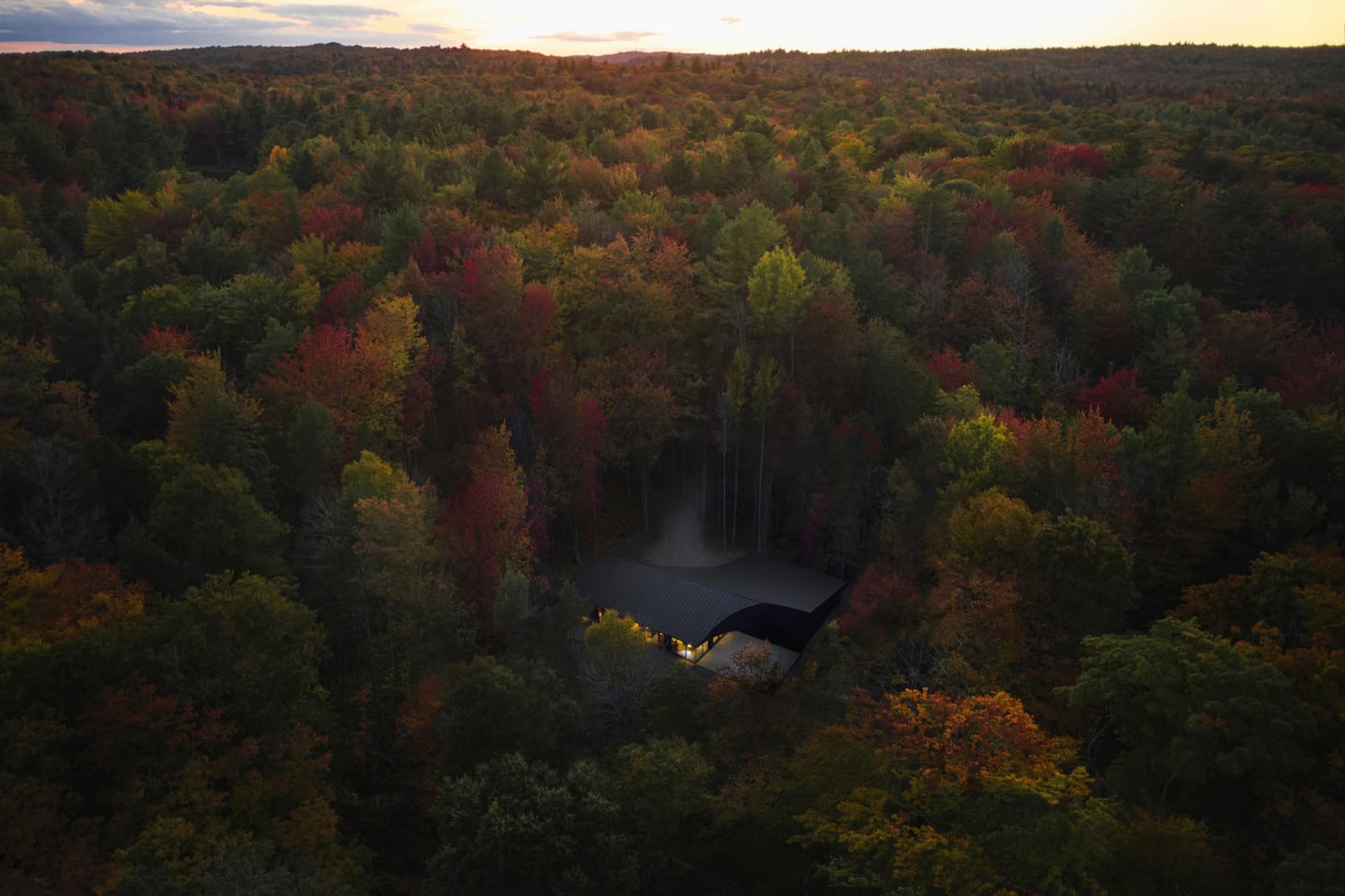 A modern house nestled in a dense forest during sunset.