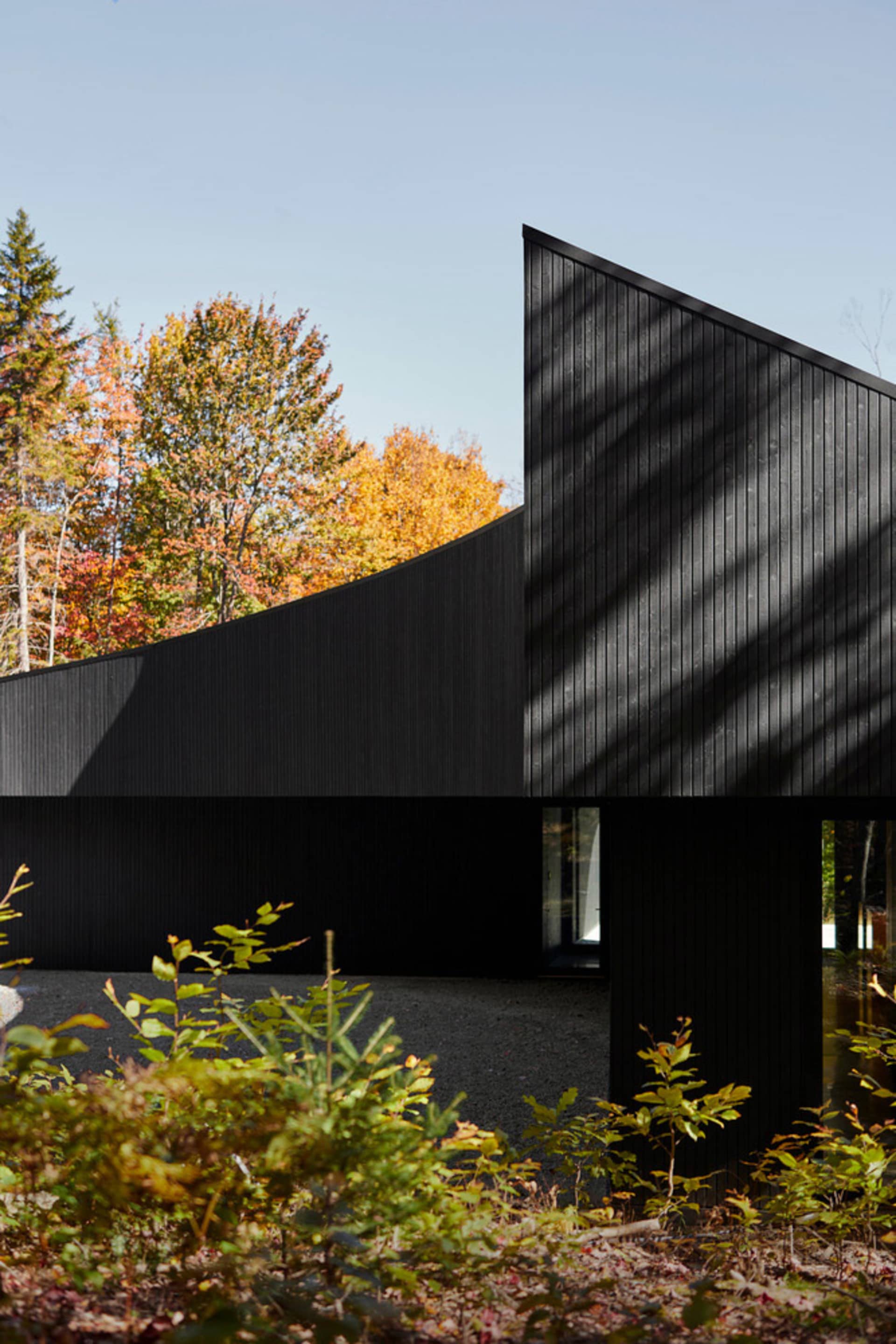 A black timber-paneled exterior of a modern house with a curved design and autumn foliage in the background.