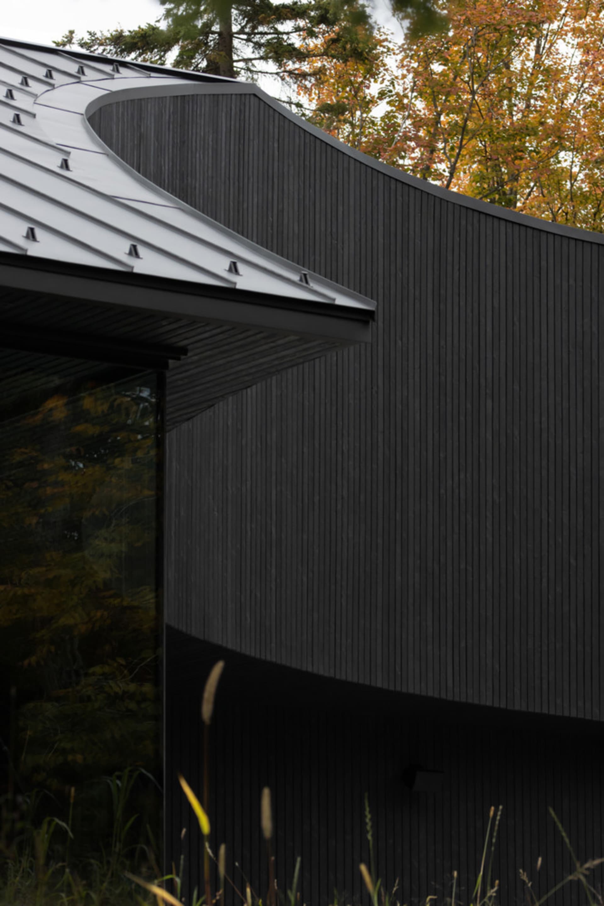 Modern building with black metal exterior and curved roof against a backdrop of autumn trees.
